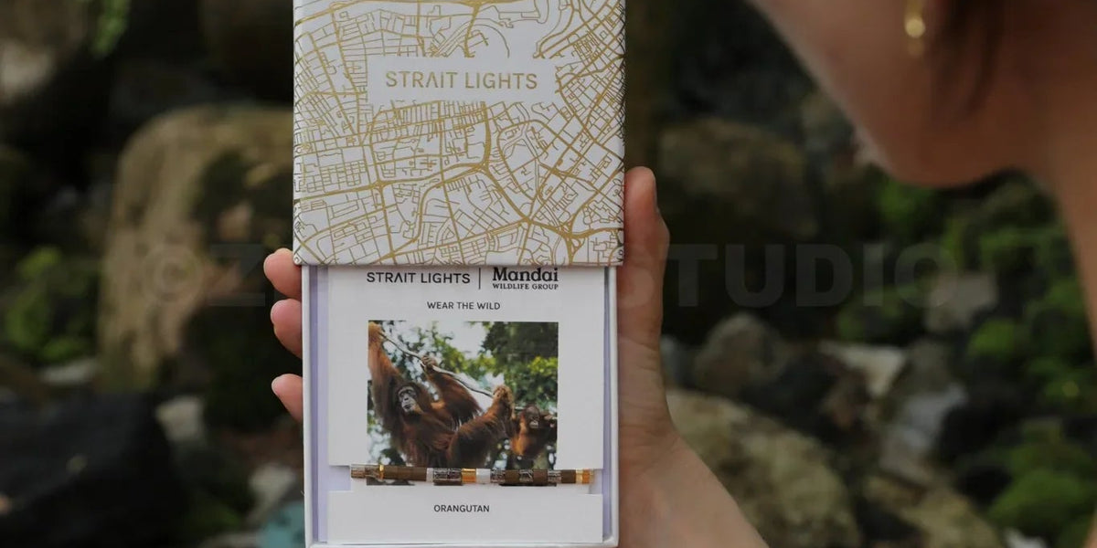MANDAI WILDLIFE GROUP | MANDAI x STRAIT LIGHTS | Orangutan Bracelet
