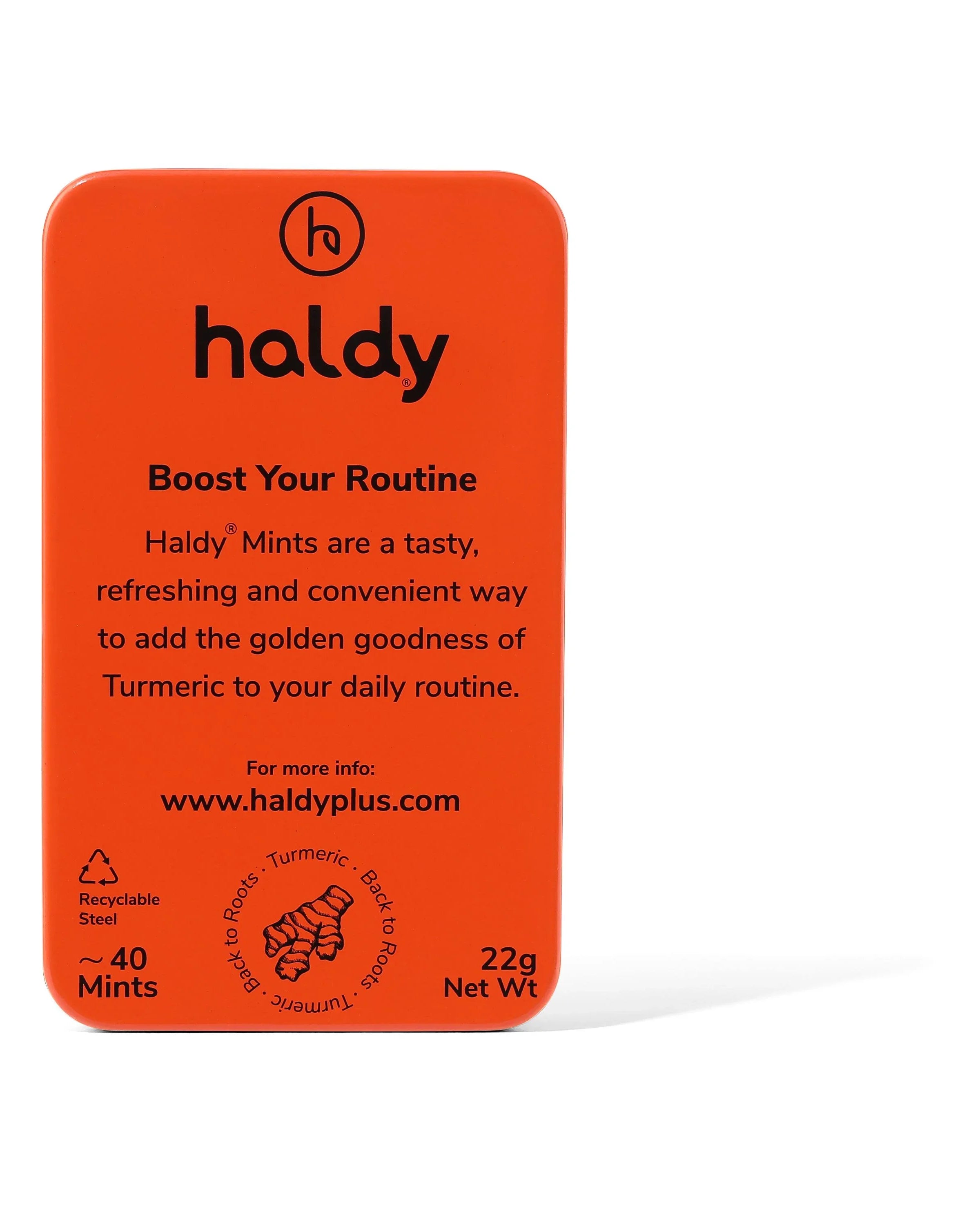 HALDY | Sugarfree Turmeric Mints - Peppermint (Single Pack)