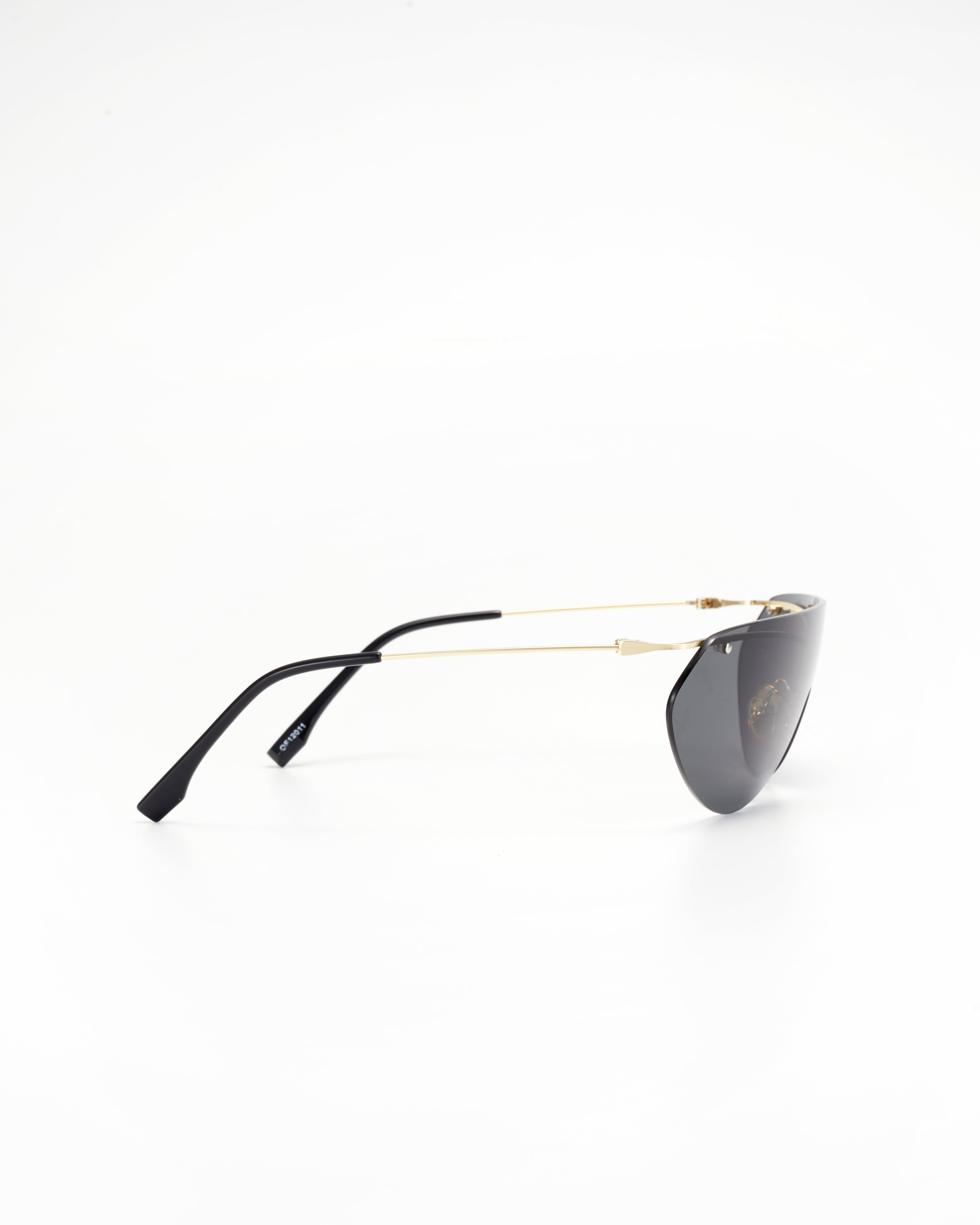 PROJECTWEAR | Eckard Sunglasses Silver/Black