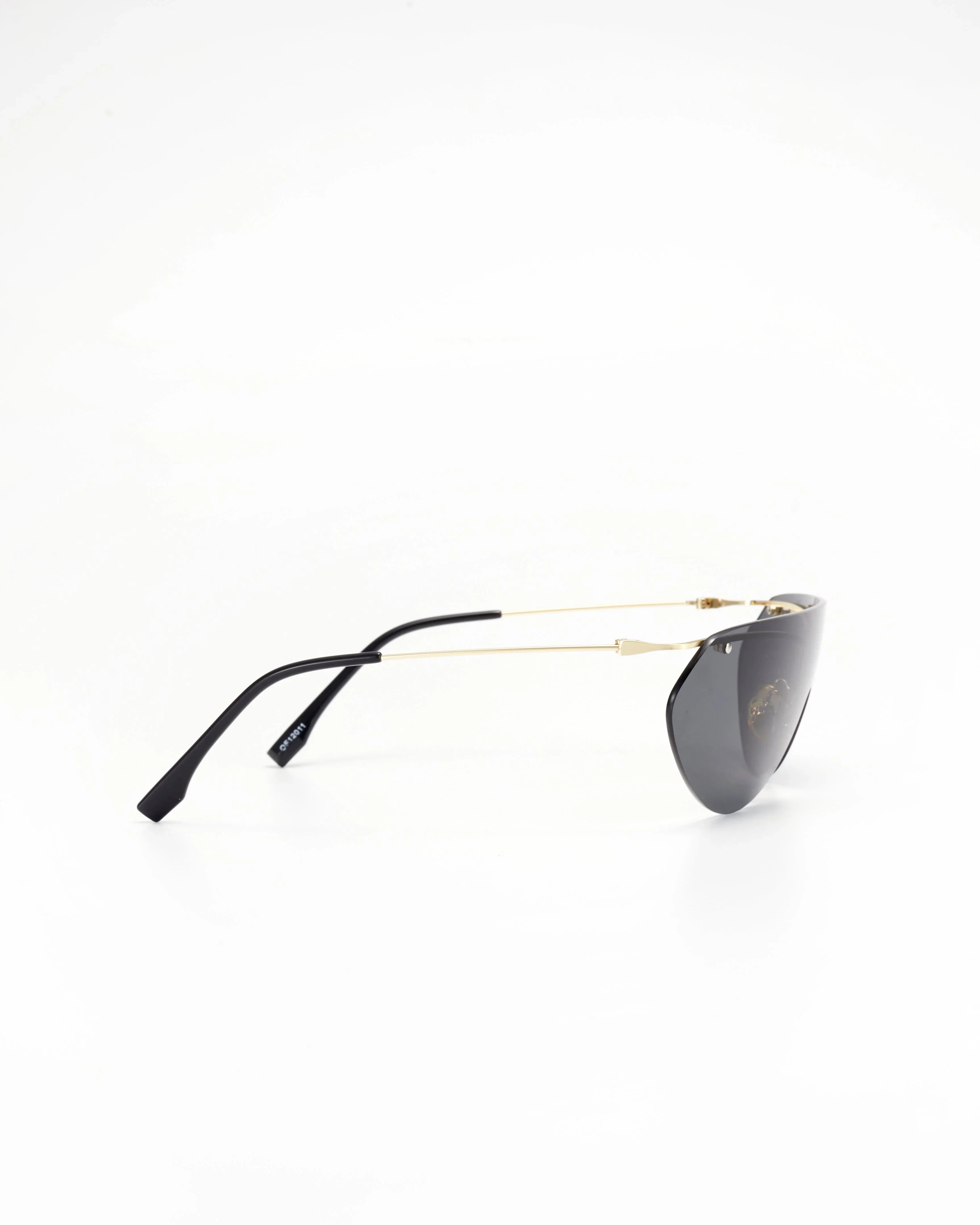 PROJECTWEAR | Eckard Sunglasses Silver/Black