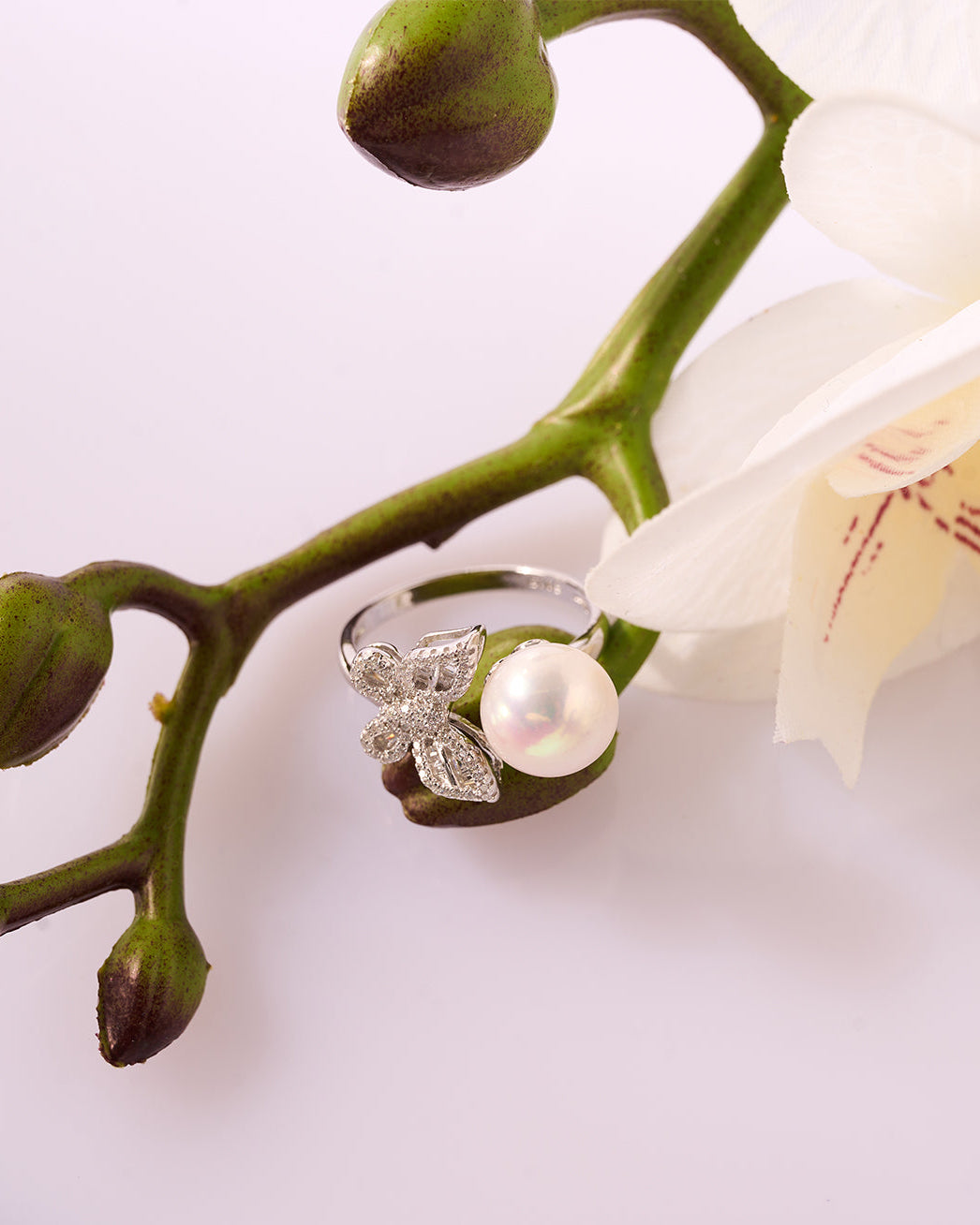 PEARLY LUSTRE | Elegant Freshwater Pearl Ring WR00080 | GARDENS