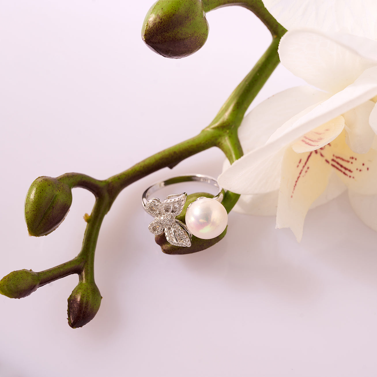 PEARLY LUSTRE | Elegant Freshwater Pearl Ring WR00080 | GARDENS