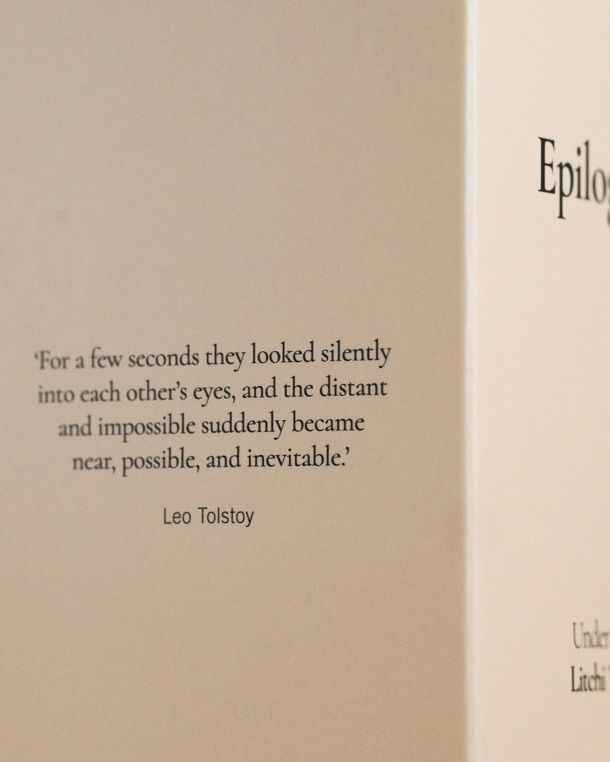 EPILOGUE | Under the Litchi Tree