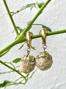 MARILYN TAN JEWELLERY | Natural Beige Desert Rose Clip and Post Gold Earrings