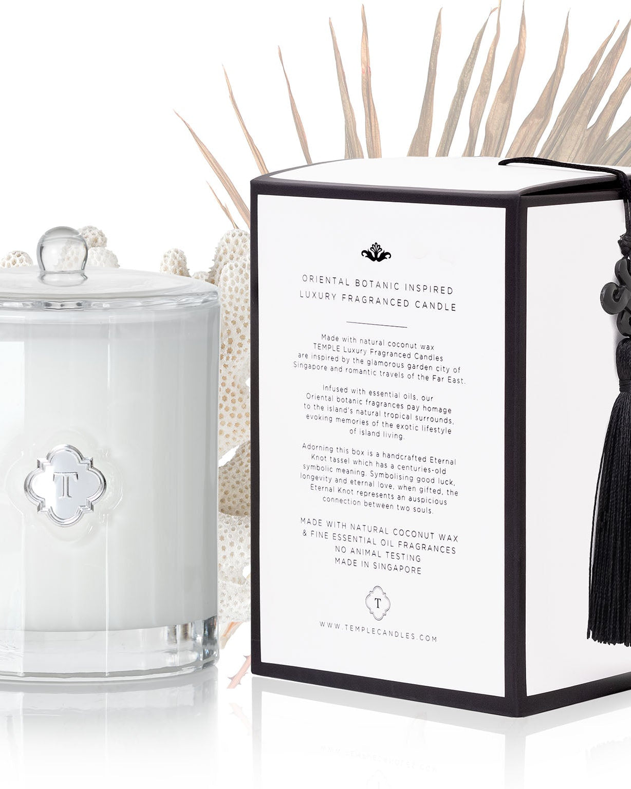 TEMPLE CANDLES | Luxury Fragranced Candle - Palm & Sea Spray