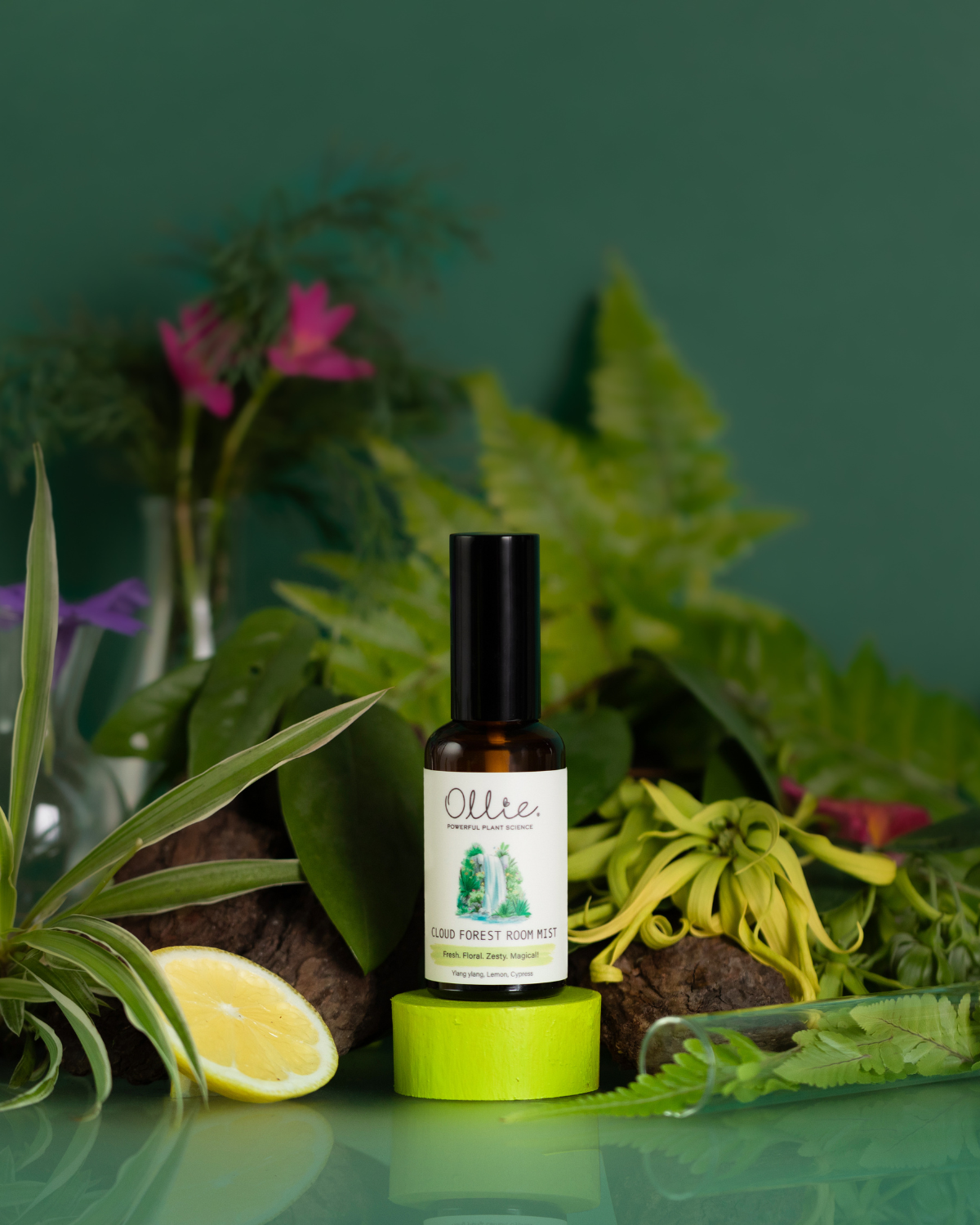 OLLIE | Cloud Forest Room Mist 50ml