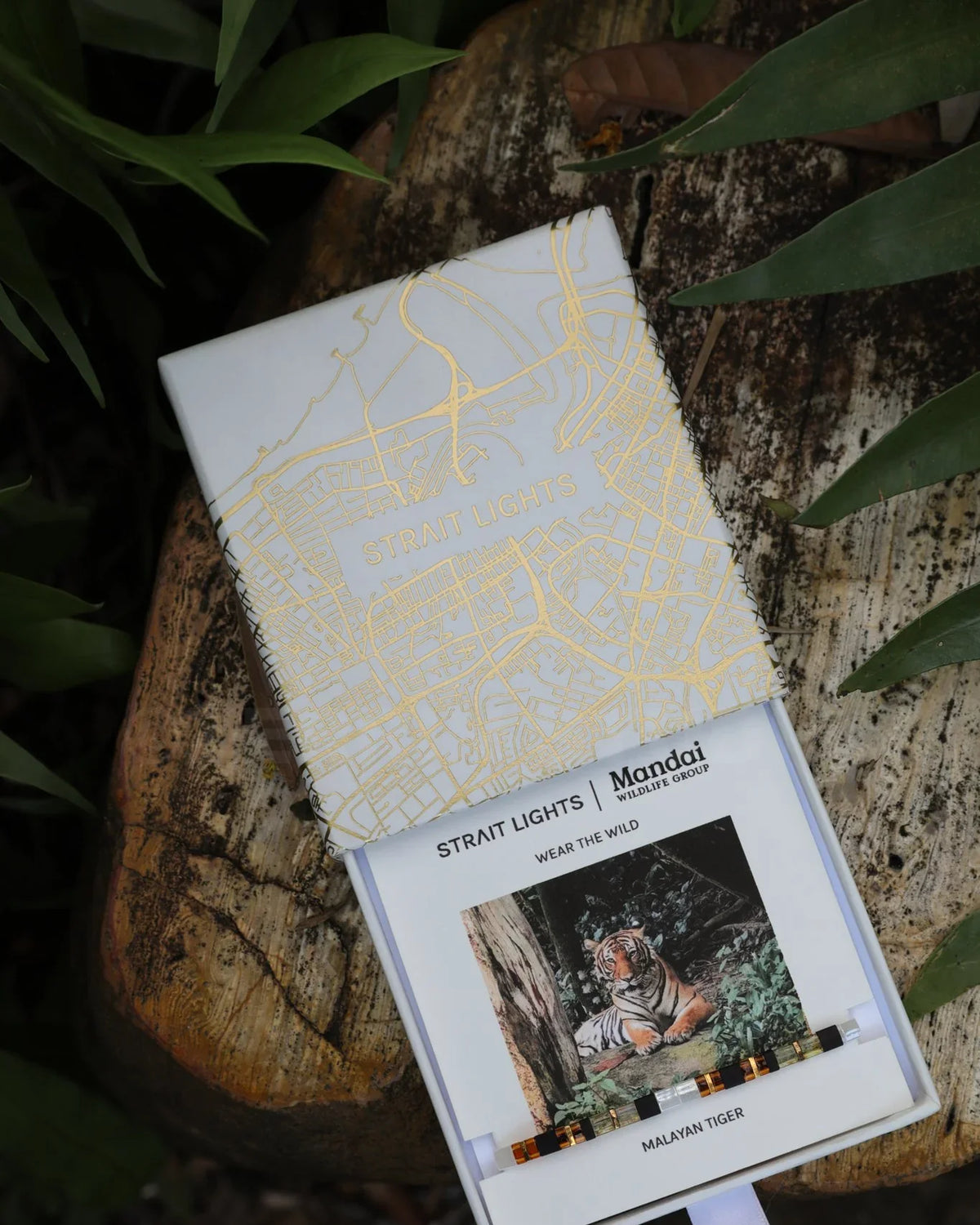 MANDAI WILDLIFE GROUP | MANDAI x STRAIT LIGHTS Tiger Bracelet