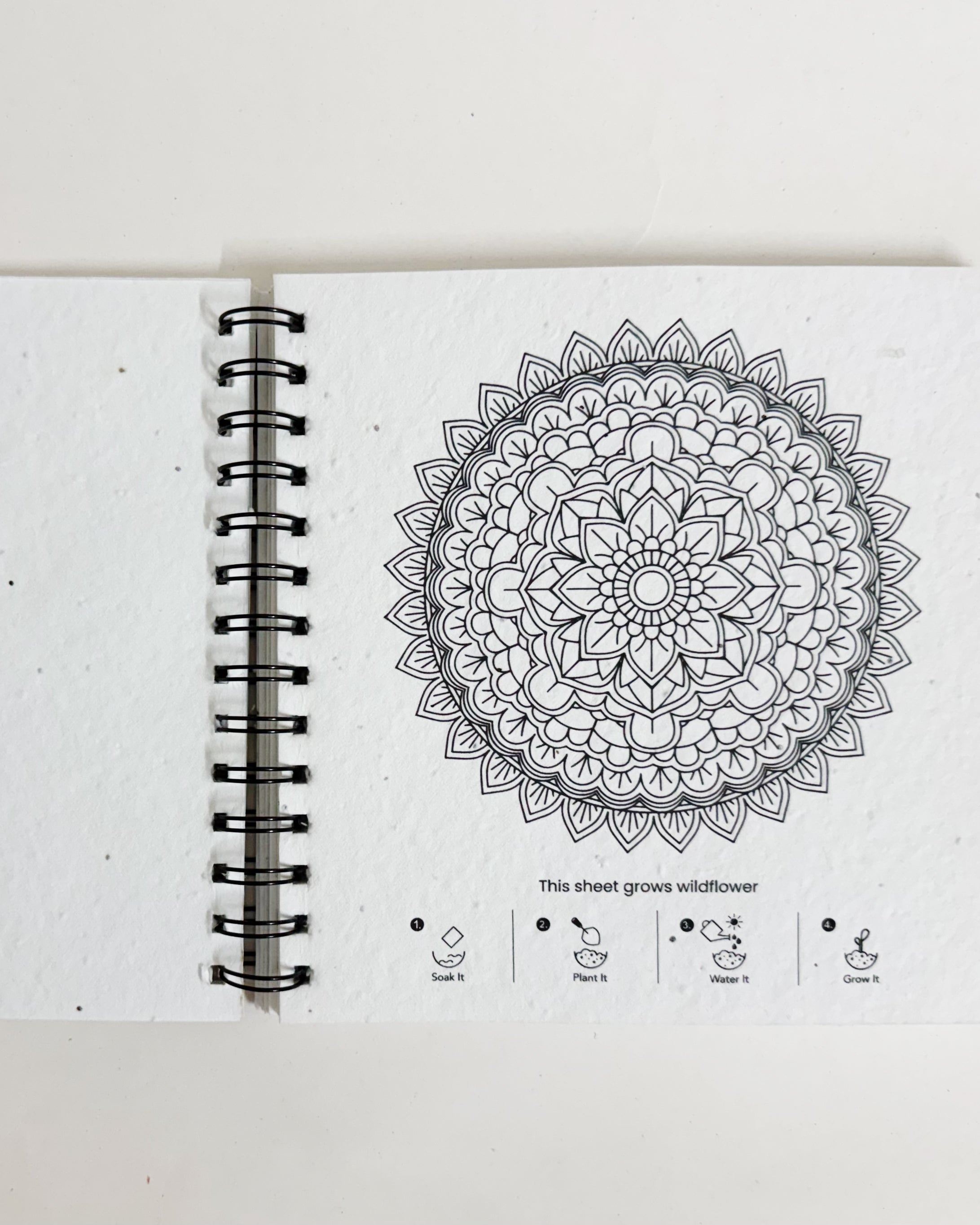 PURPLE AND PURE | Plantable Mandala Colouring Book