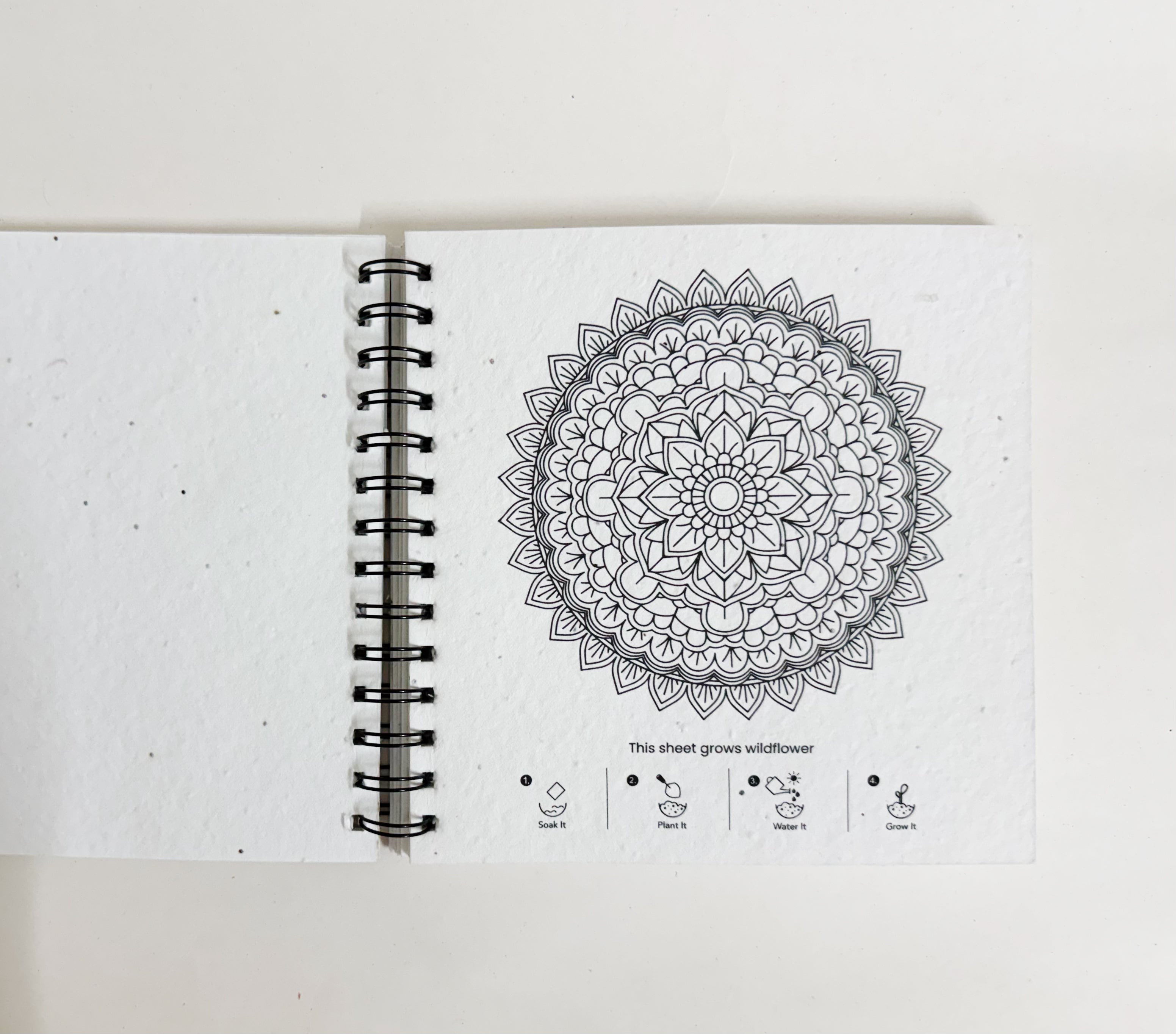 PURPLE AND PURE | Plantable Mandala Colouring Book