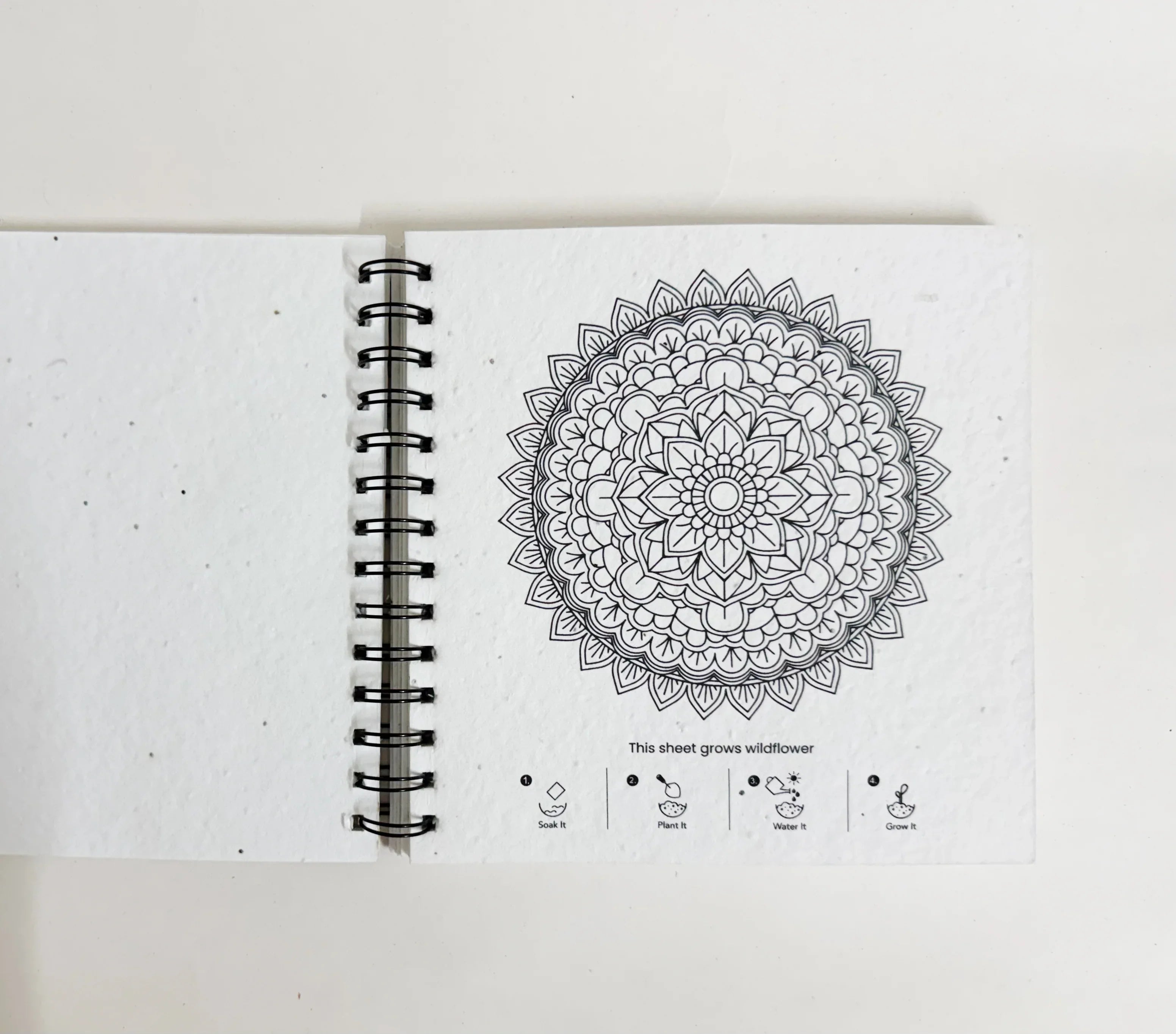 PURPLE AND PURE | Plantable Mandala Colouring Book