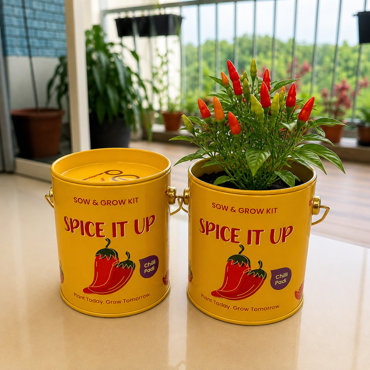 PURPLE AND PURE | Sow & Grow Kit (Mini) - Chilli Padi