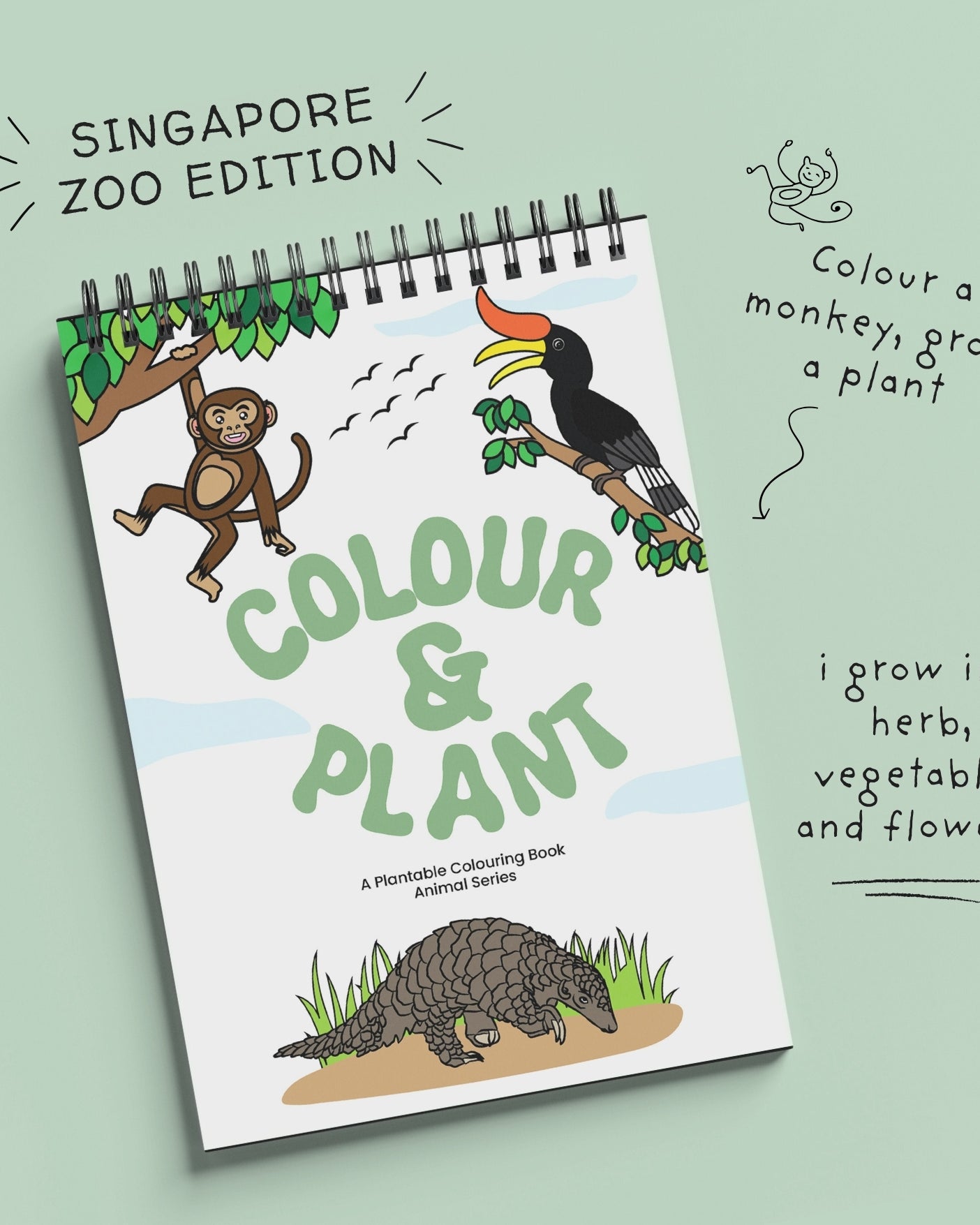 PURPLE AND PURE | Plantable Colouring Book For Kids - Zoo Edition