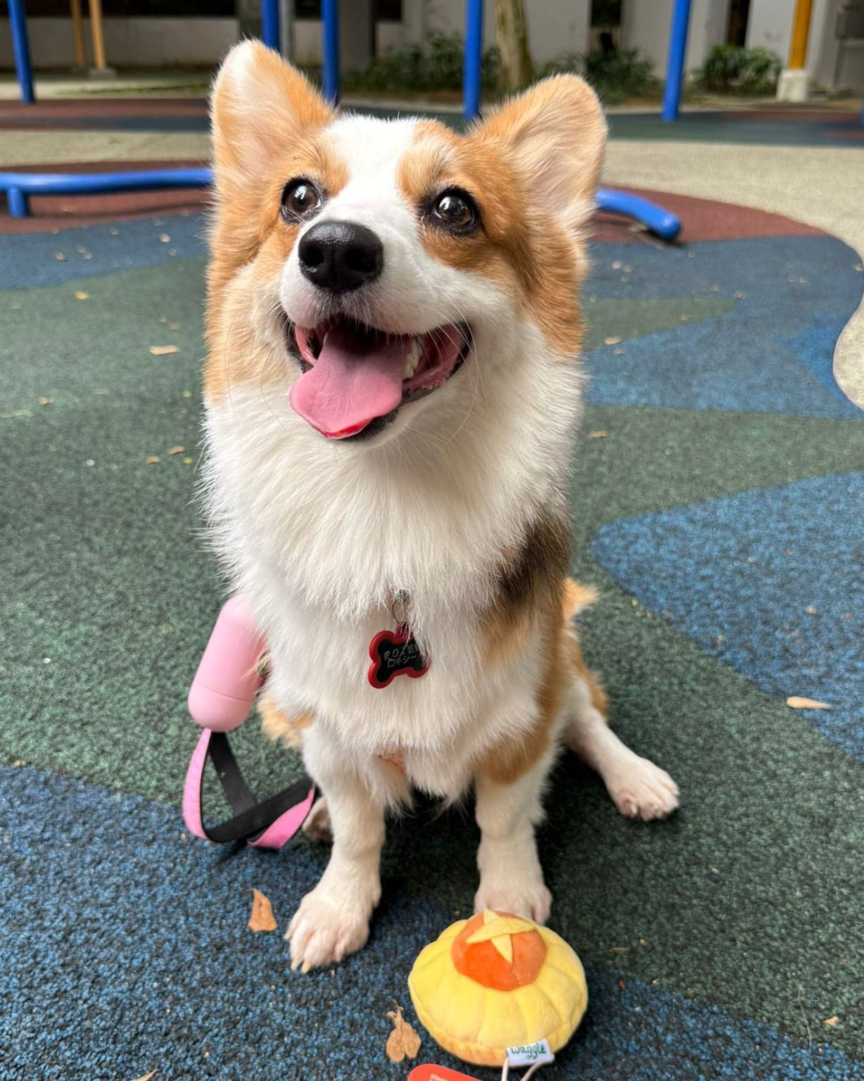 NOM | Waggle Pineapple Tart Squeakie Chew Toy