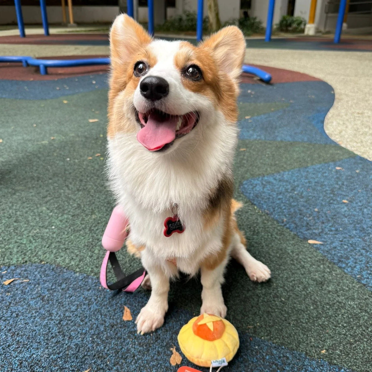 NOM | Waggle Pineapple Tart Squeakie Chew Toy