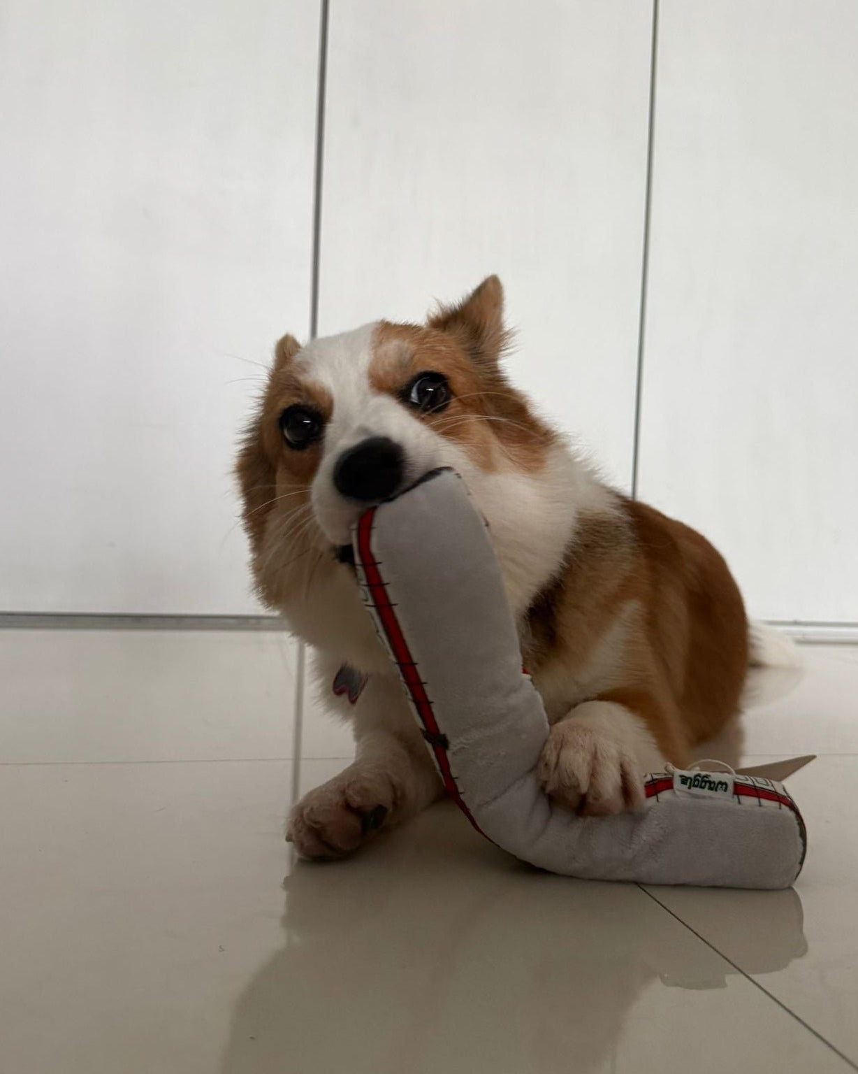 NOM | Waggle Train Chew Toy