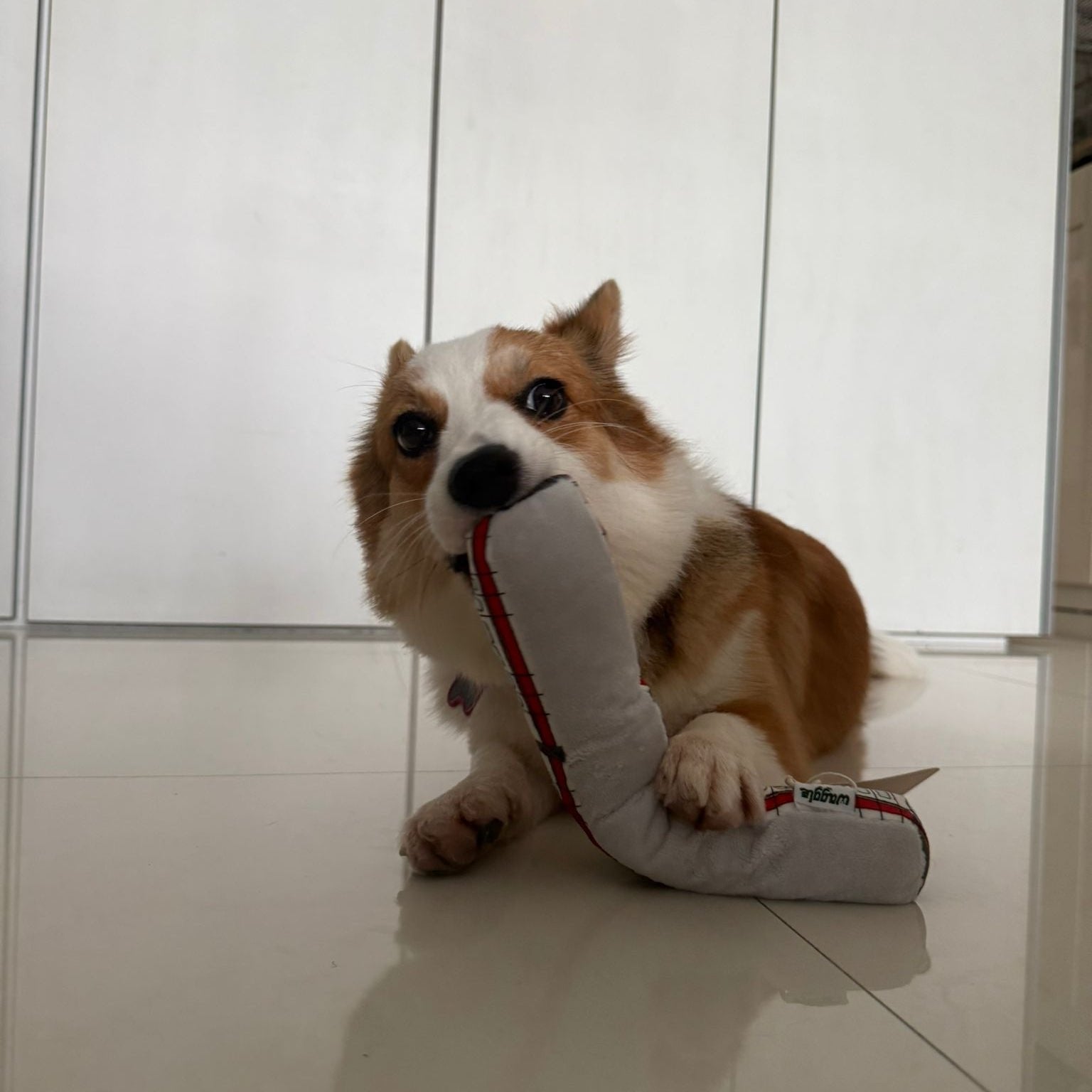 NOM | Waggle Train Chew Toy