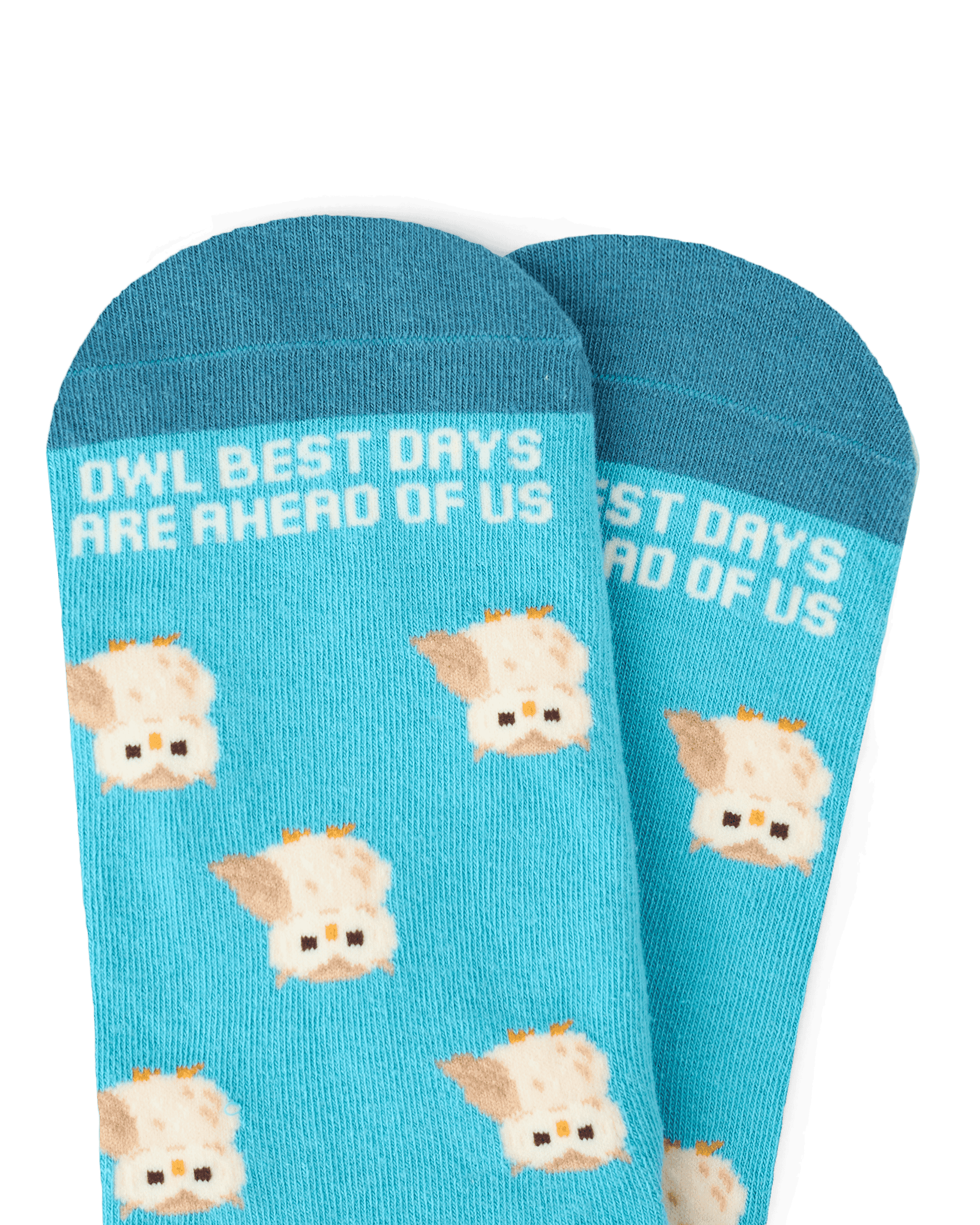 TALKING TOES | Owl Be Okay Sock | Blue