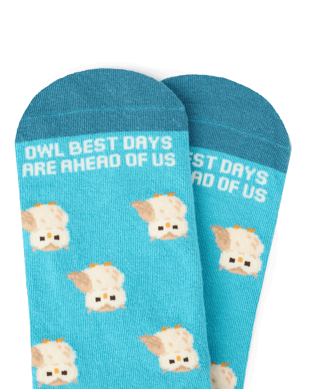 TALKING TOES | Owl Be Okay Sock | Blue