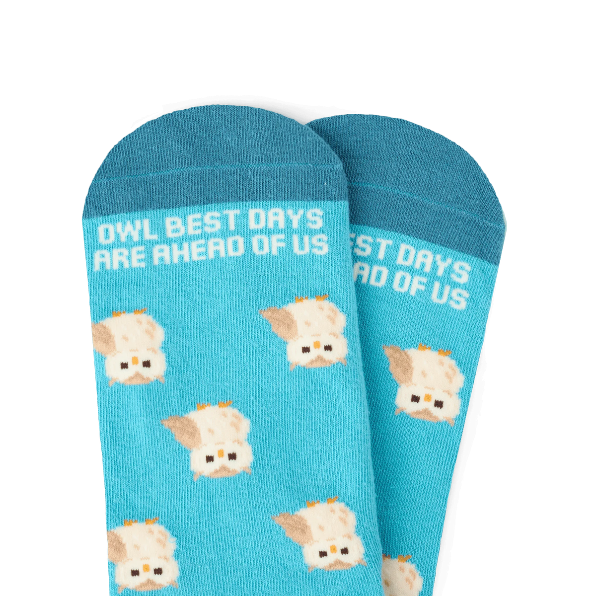 TALKING TOES | Owl Be Okay Sock | Blue