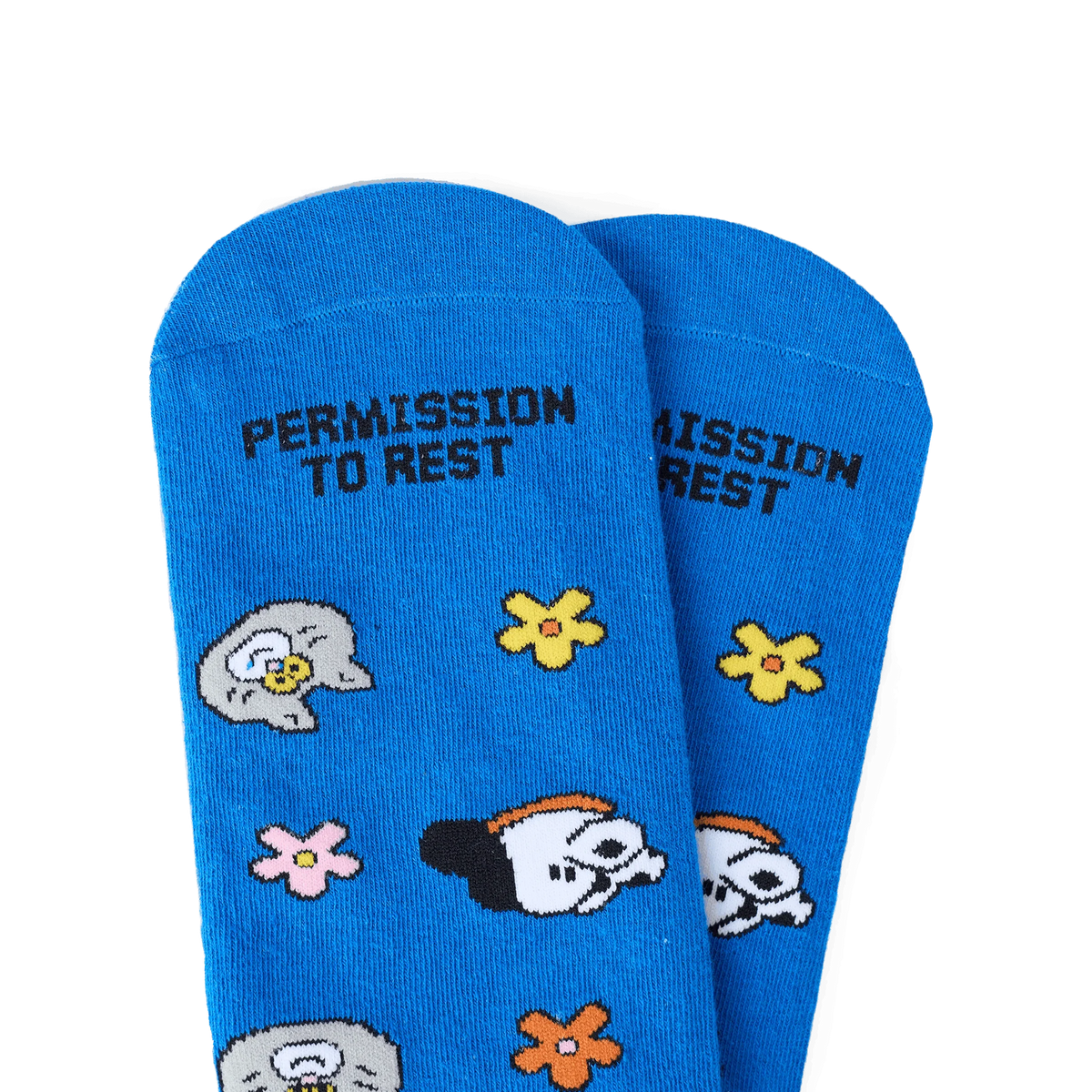 TALKING TOES | Cosy Companion Sock