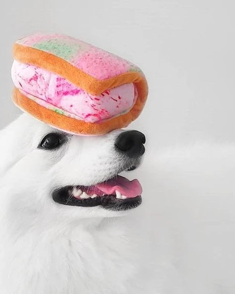 NOM | Waggle Ice Cream Sandwich Squeakie Chew Toy
