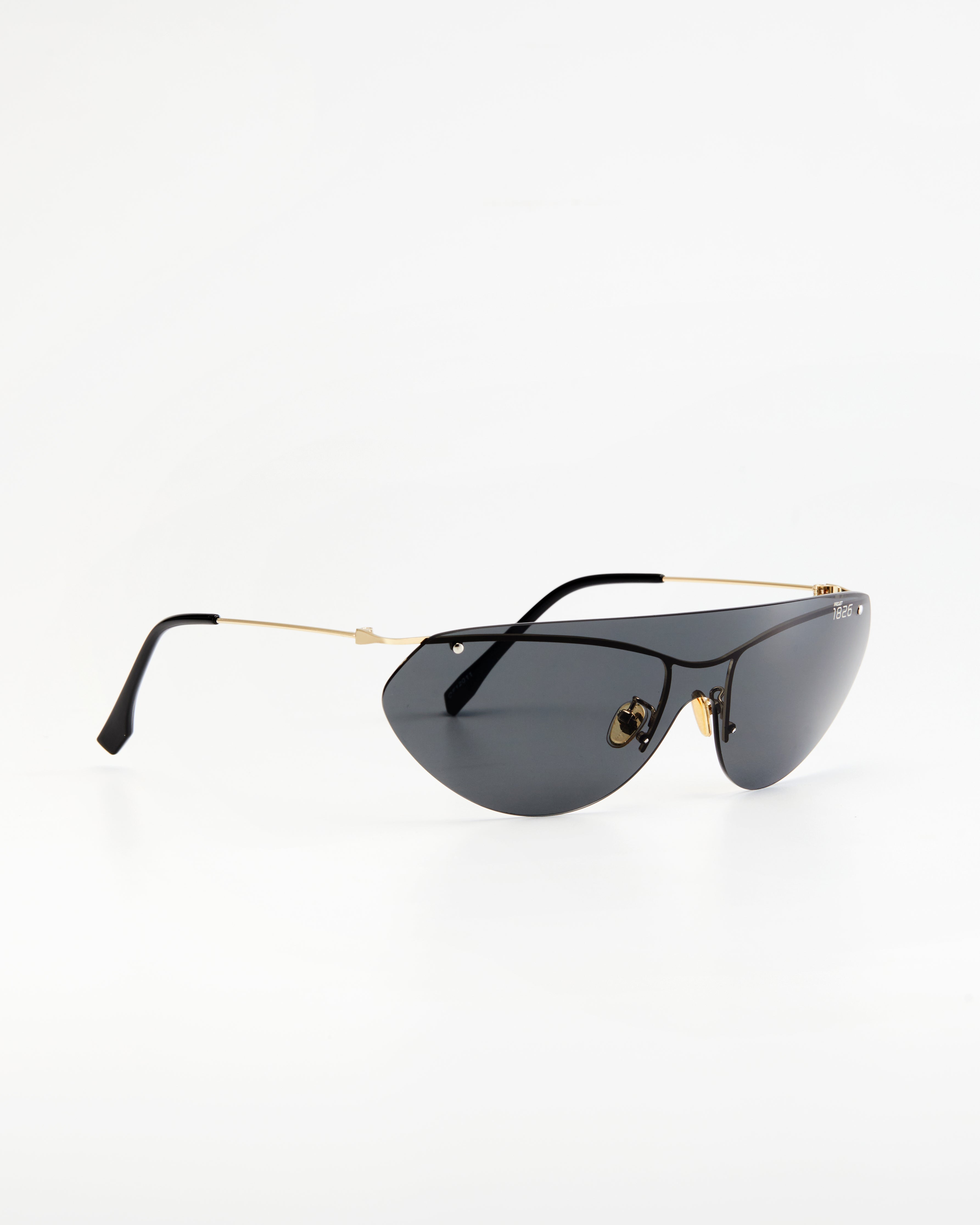 PROJECTWEAR | Eckard Sunglasses Silver/Black
