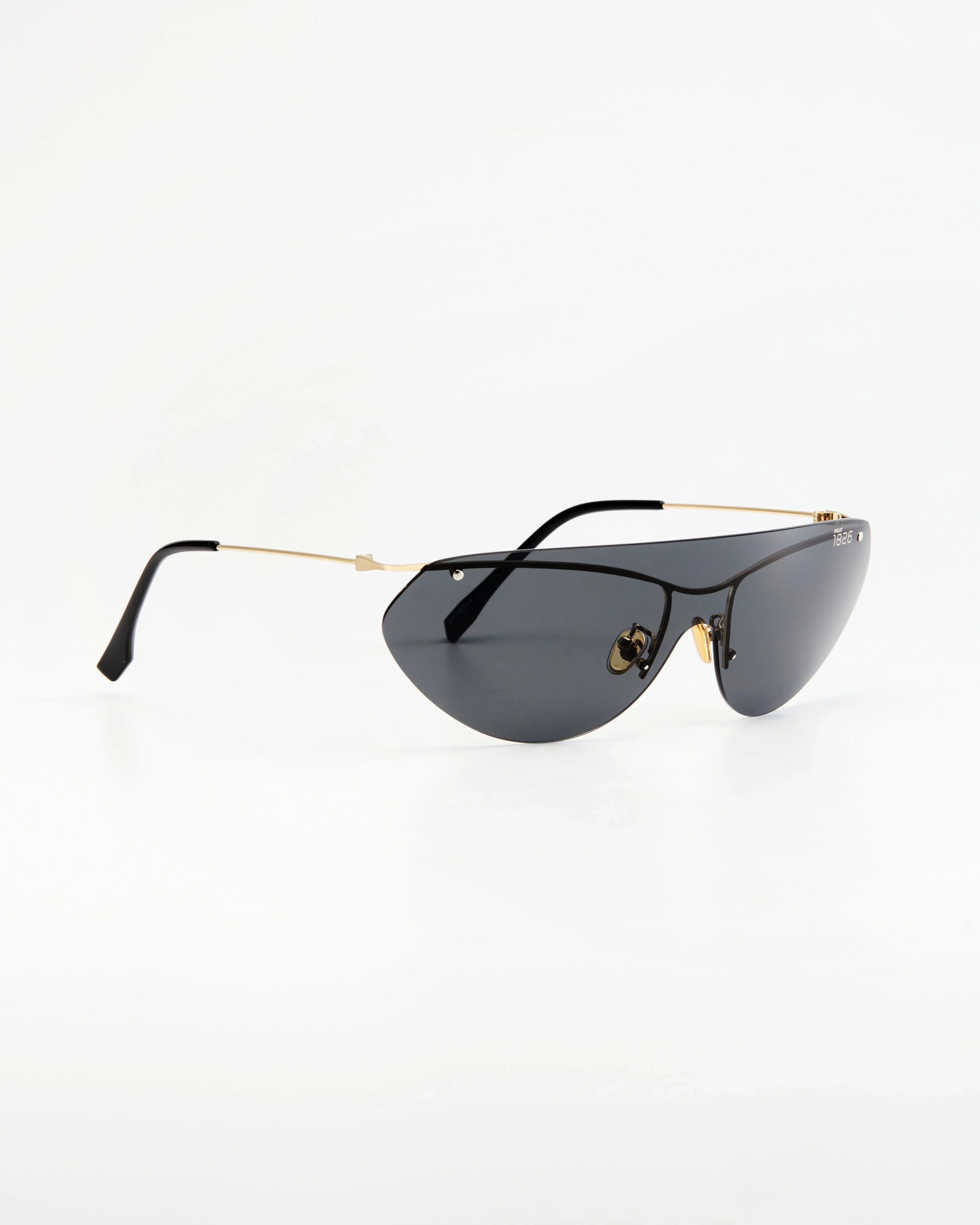 PROJECTWEAR | Eckard Sunglasses Silver/Black