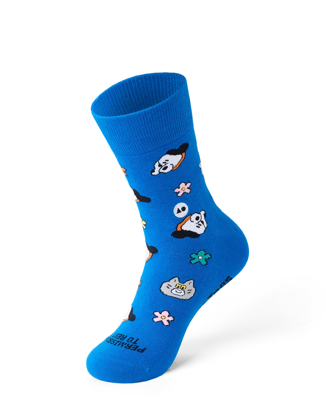 TALKING TOES | Cosy Companion Sock