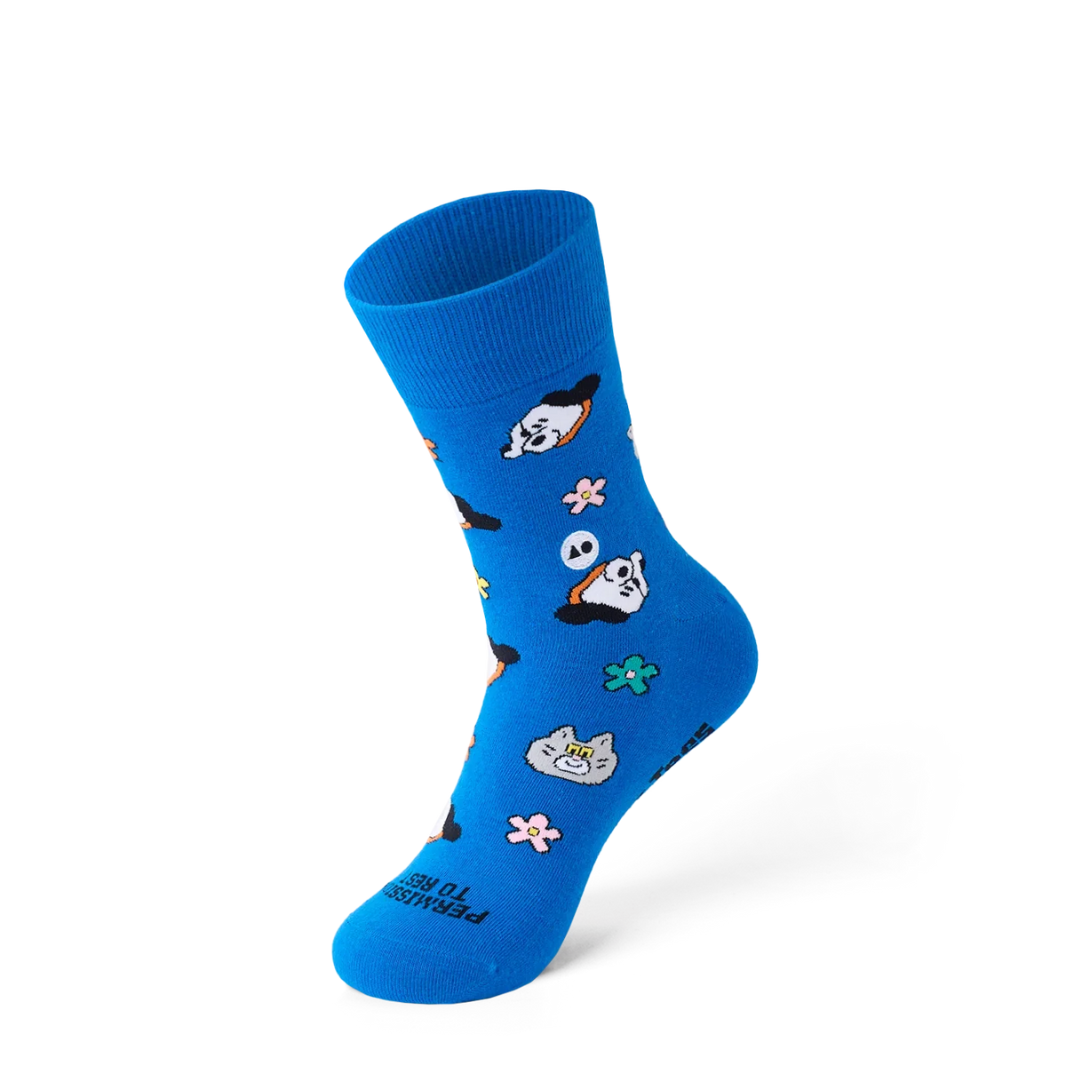 TALKING TOES | Cosy Companion Sock