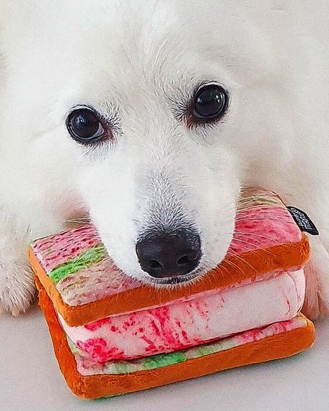 NOM | Waggle Ice Cream Sandwich Squeakie Chew Toy