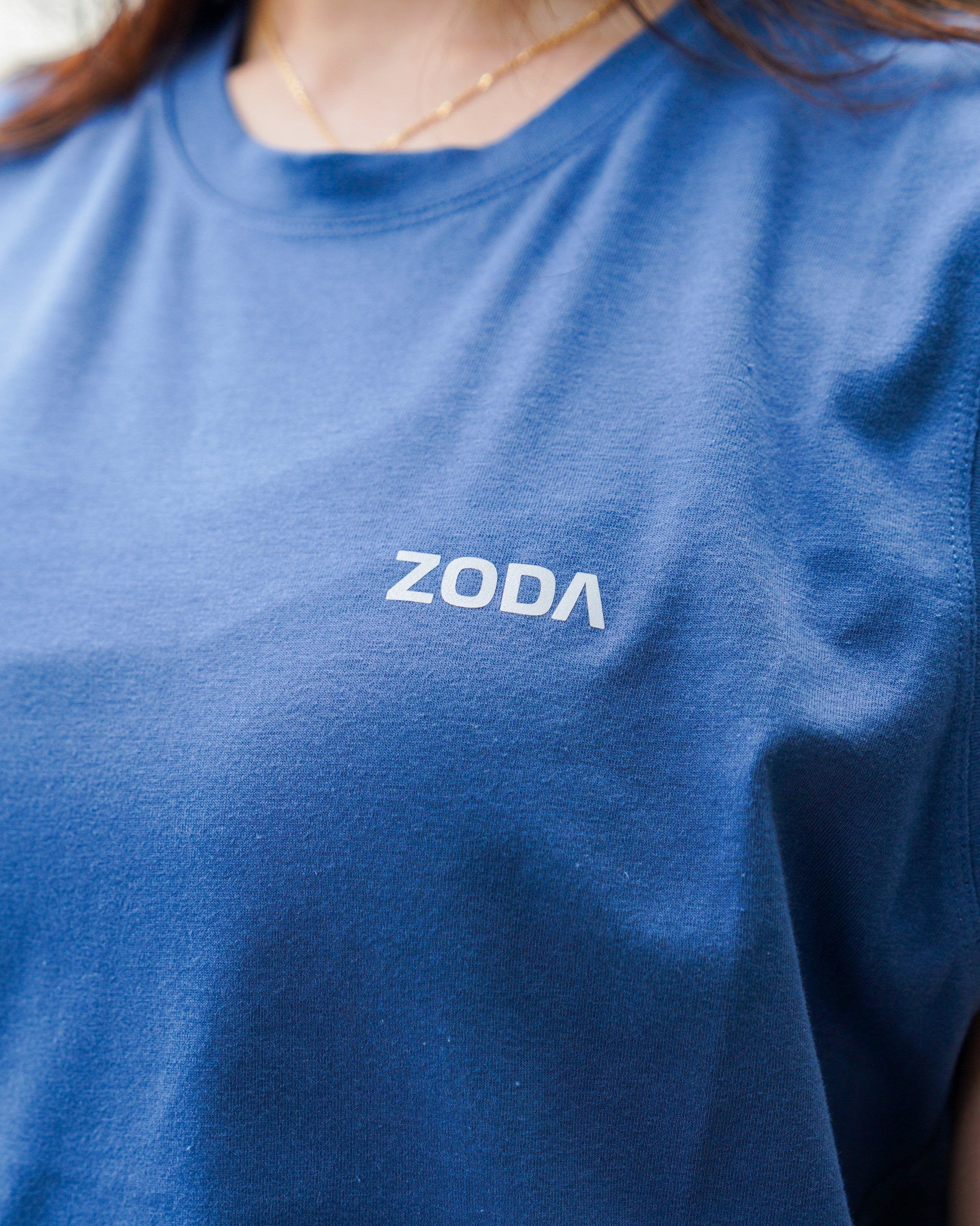 ZODA HOLDINGS PTE LTD | Perform Tank F