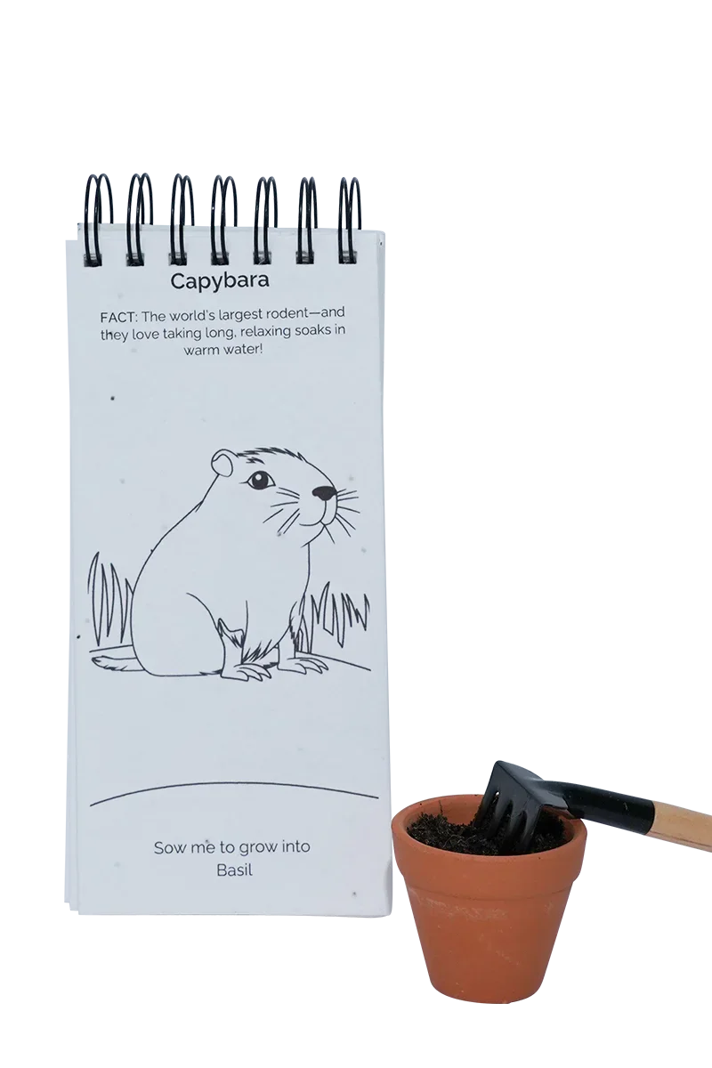 PURPLE & PURE | Singapore Zoo Plantable Colouring Book