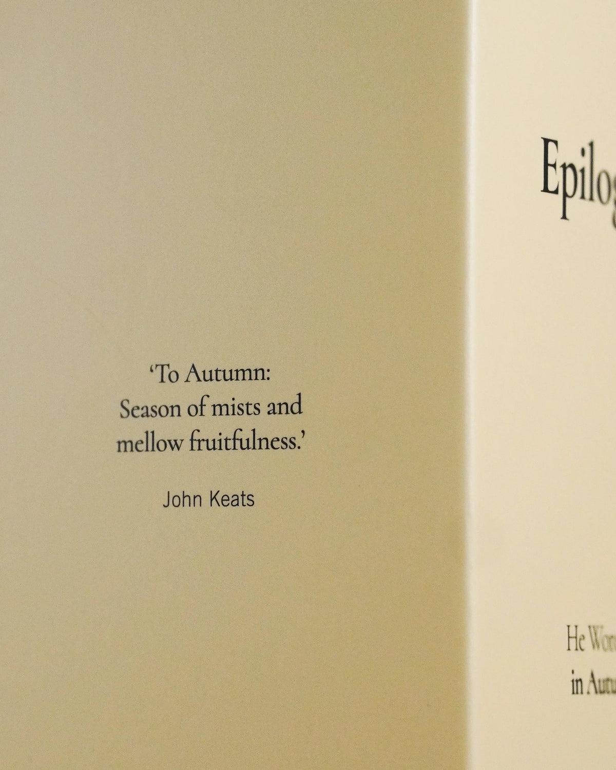 EPILOGUE | He Wore Fig in Autumn