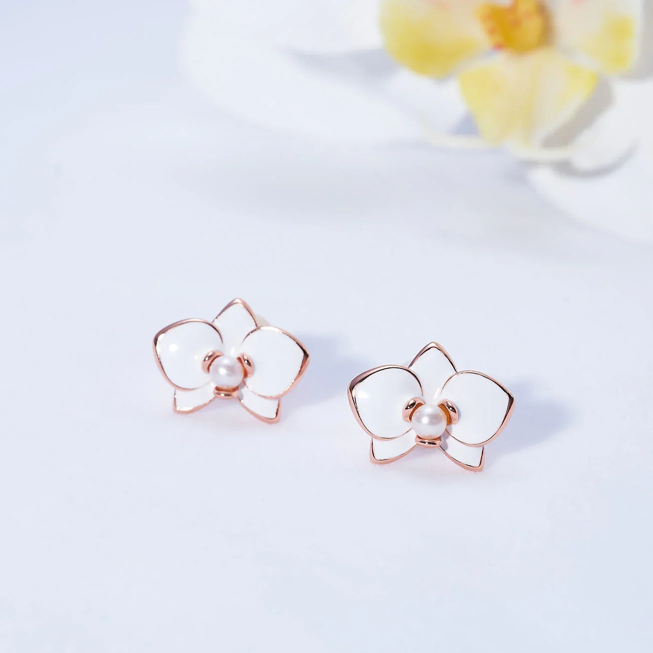 PEARLY LUSTRE | Top Grade Freshwater Pearl Set WS00120 | ORCHID