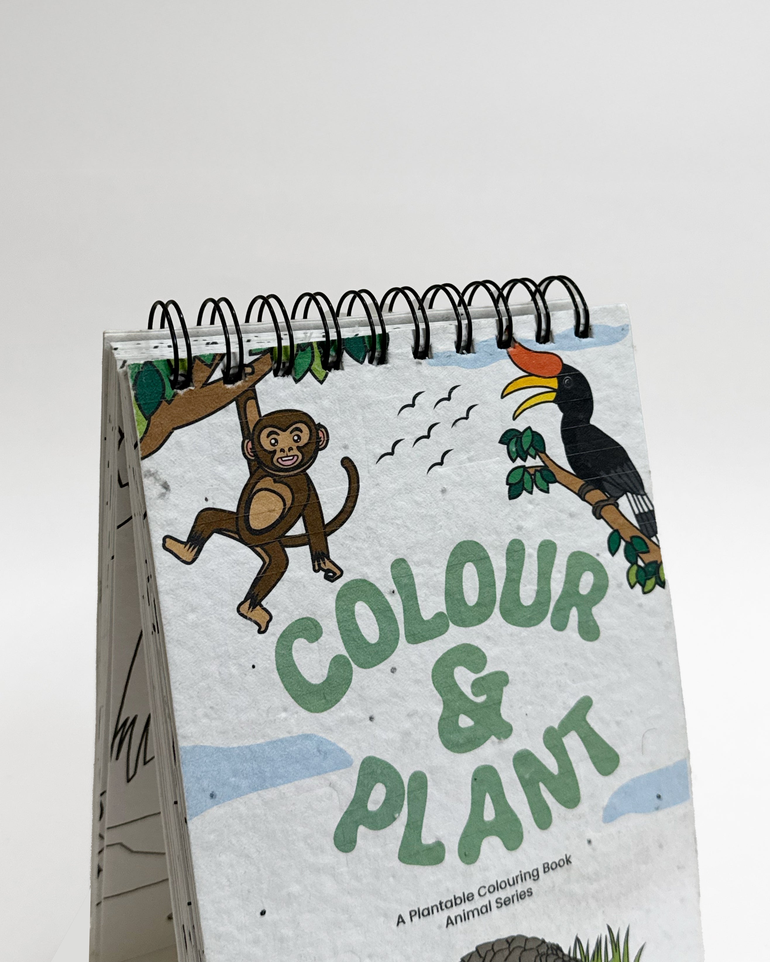 PURPLE AND PURE | Plantable Colouring Book For Kids - Zoo Edition