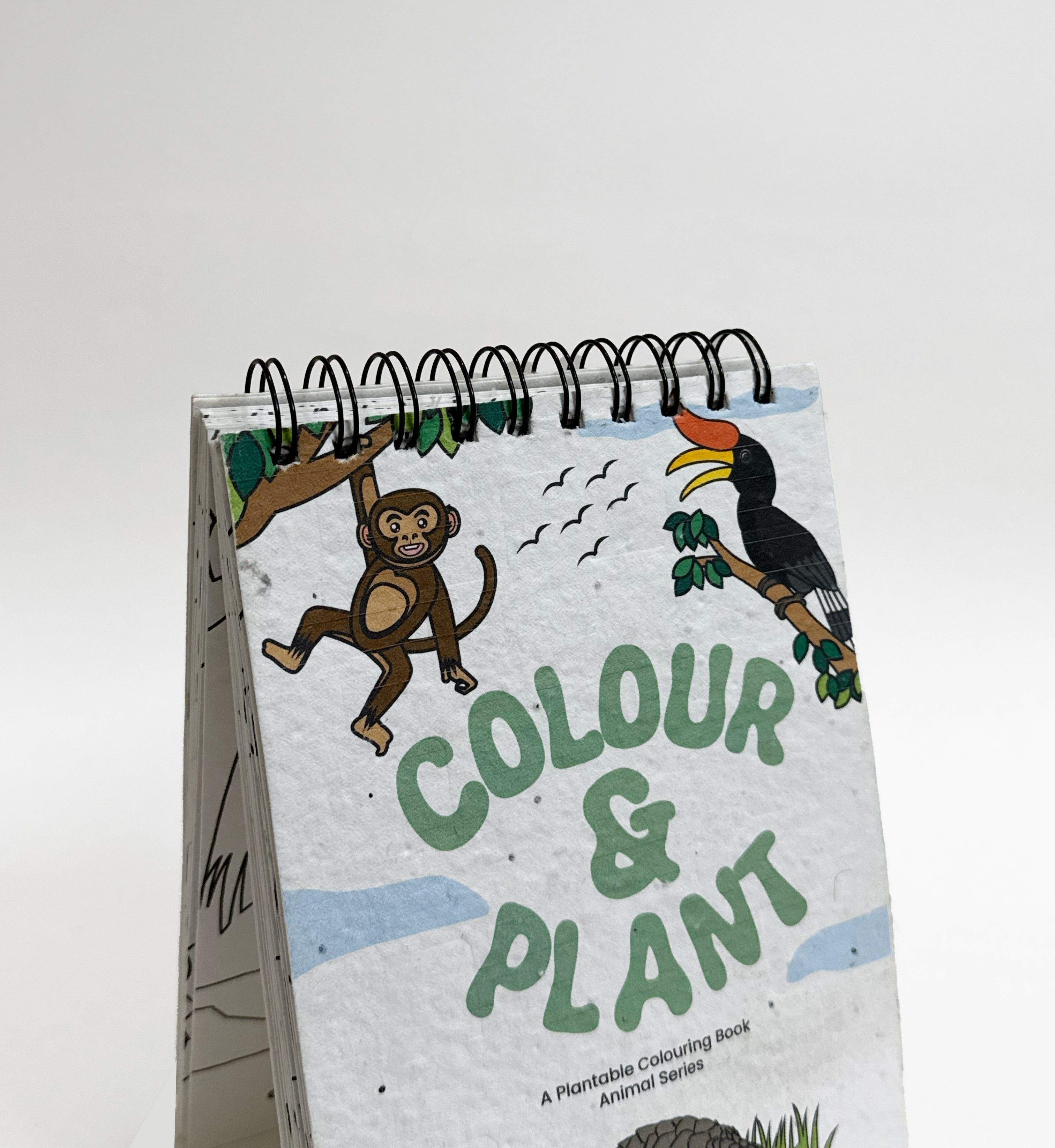 PURPLE AND PURE | Plantable Colouring Book For Kids - Zoo Edition