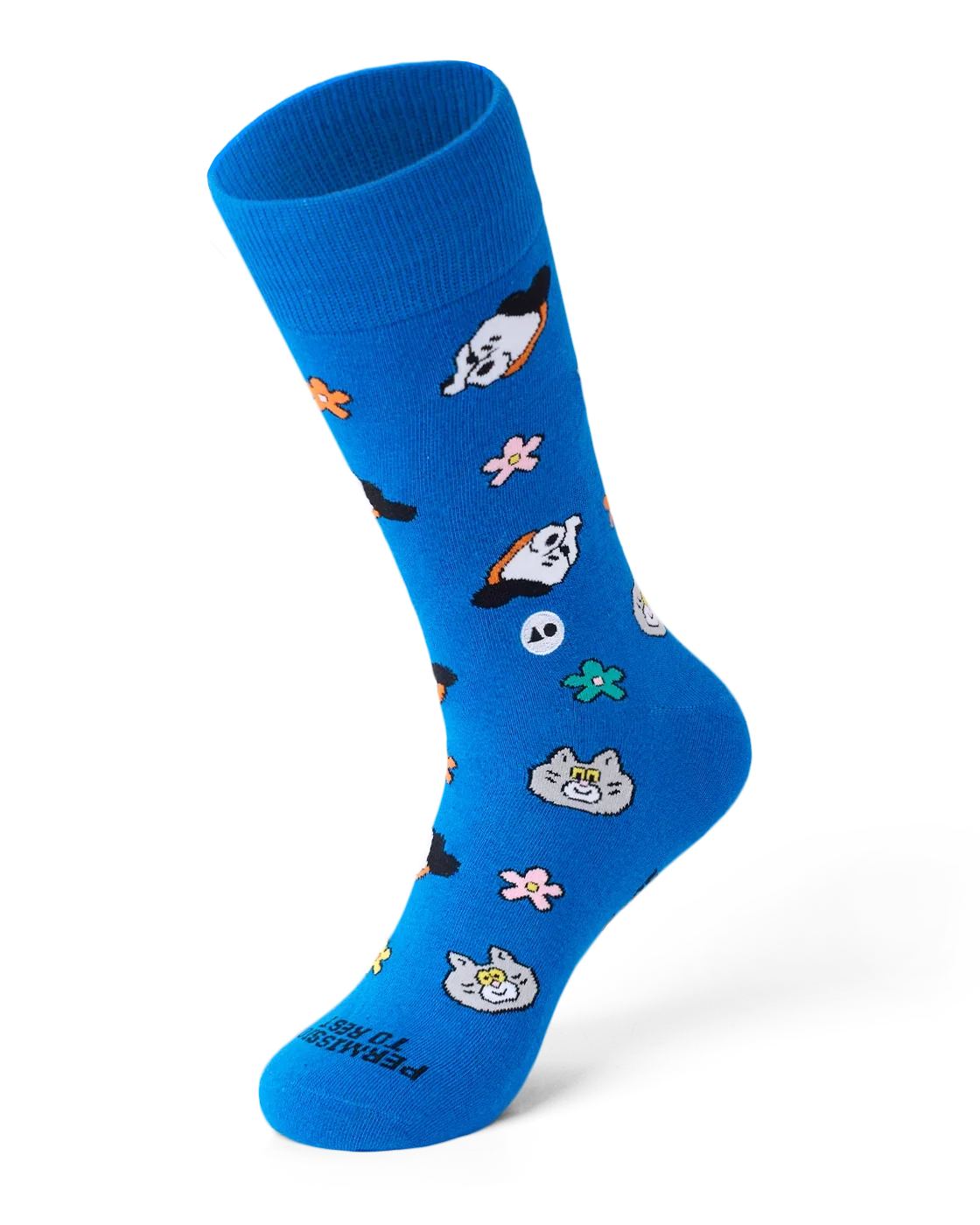 TALKING TOES | Cosy Companion Sock