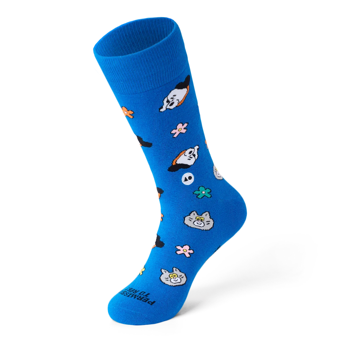 TALKING TOES | Cosy Companion Sock