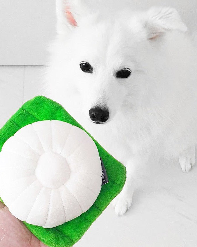 NOM | Waggle Tutu Kueh Squeakie Chew Toy