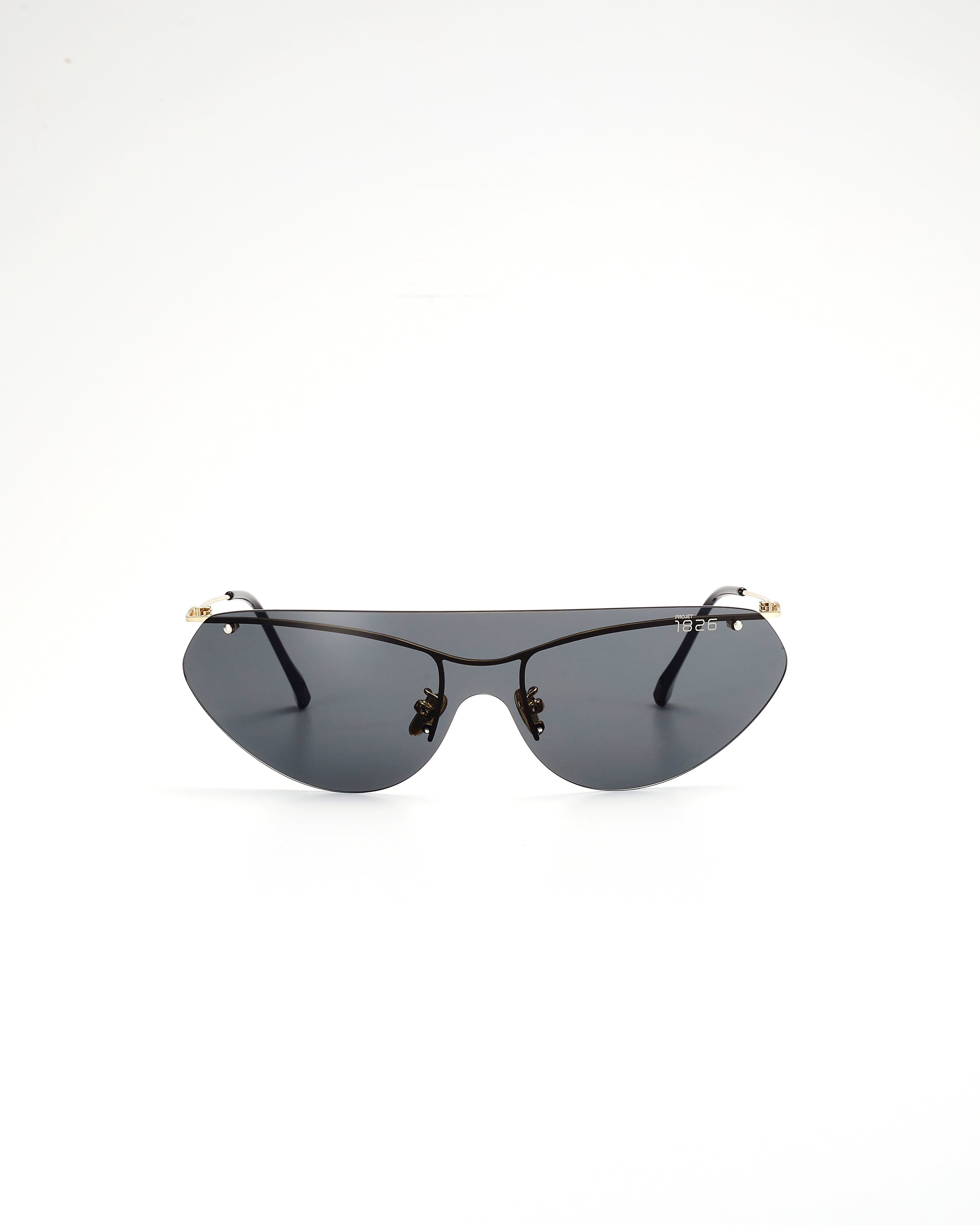 PROJECTWEAR | Eckard Sunglasses Silver/Black