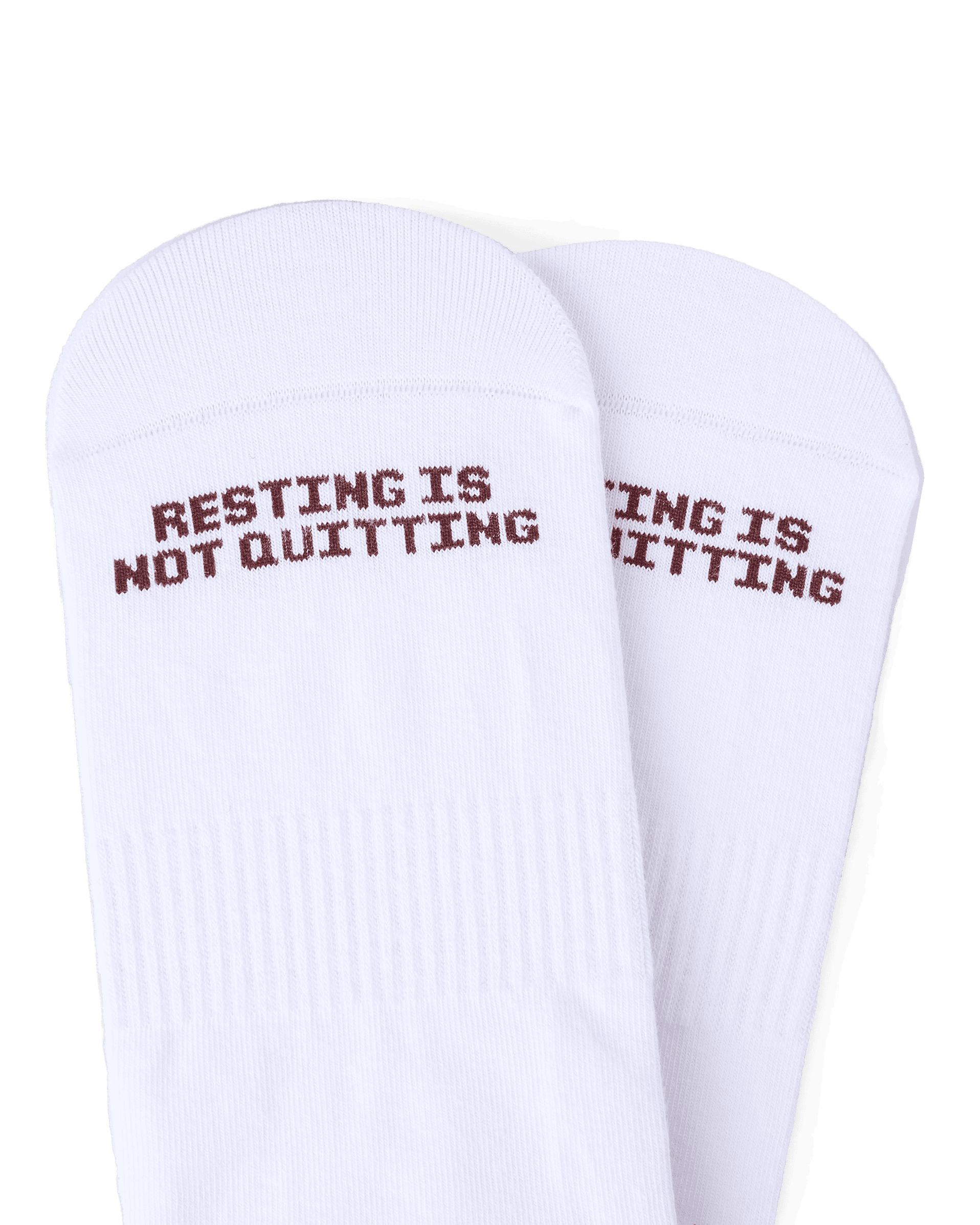 TALKING TOES | Happy Homebody Ribbed Crew Sock