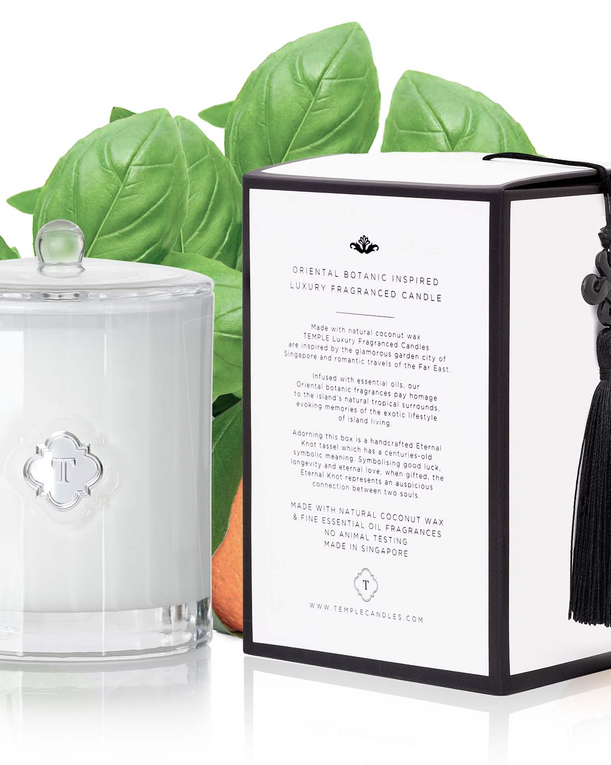 TEMPLE CANDLES | Luxury Fragranced Candle - Lime Basil