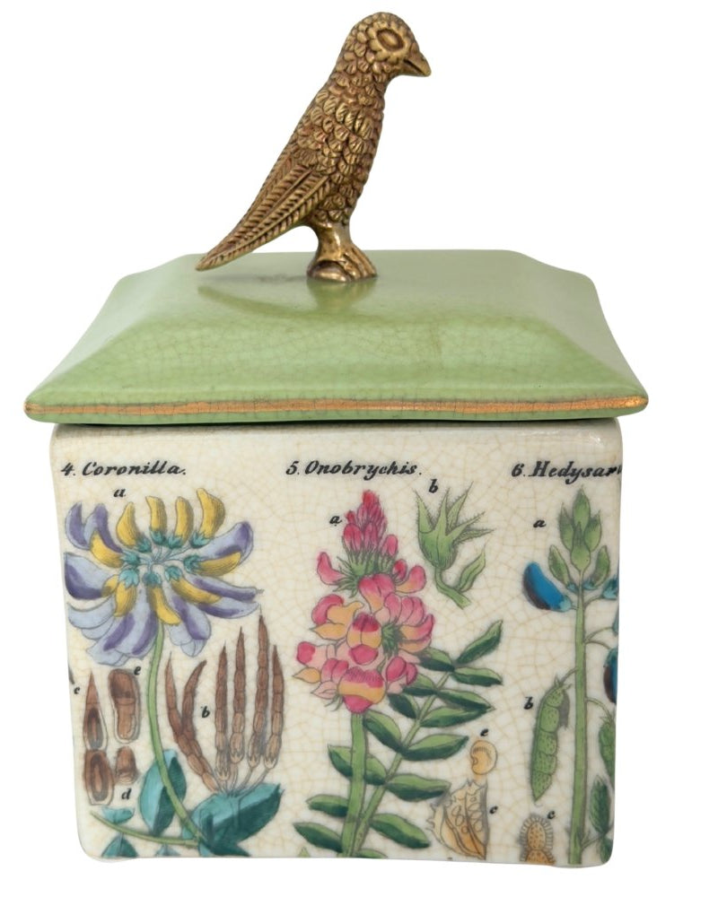 CAM | Archivo Trinket Box - Botanica