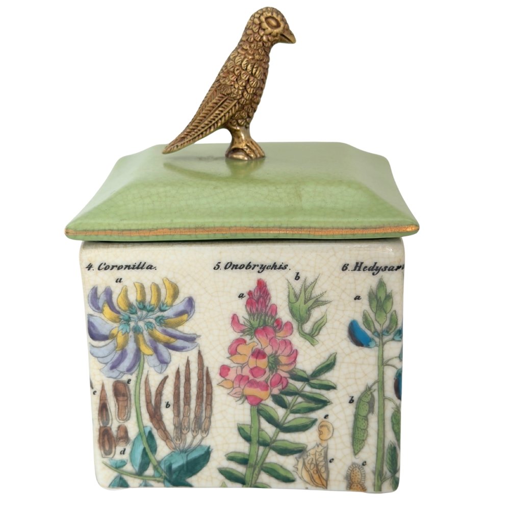CAM | Archivo Trinket Box - Botanica