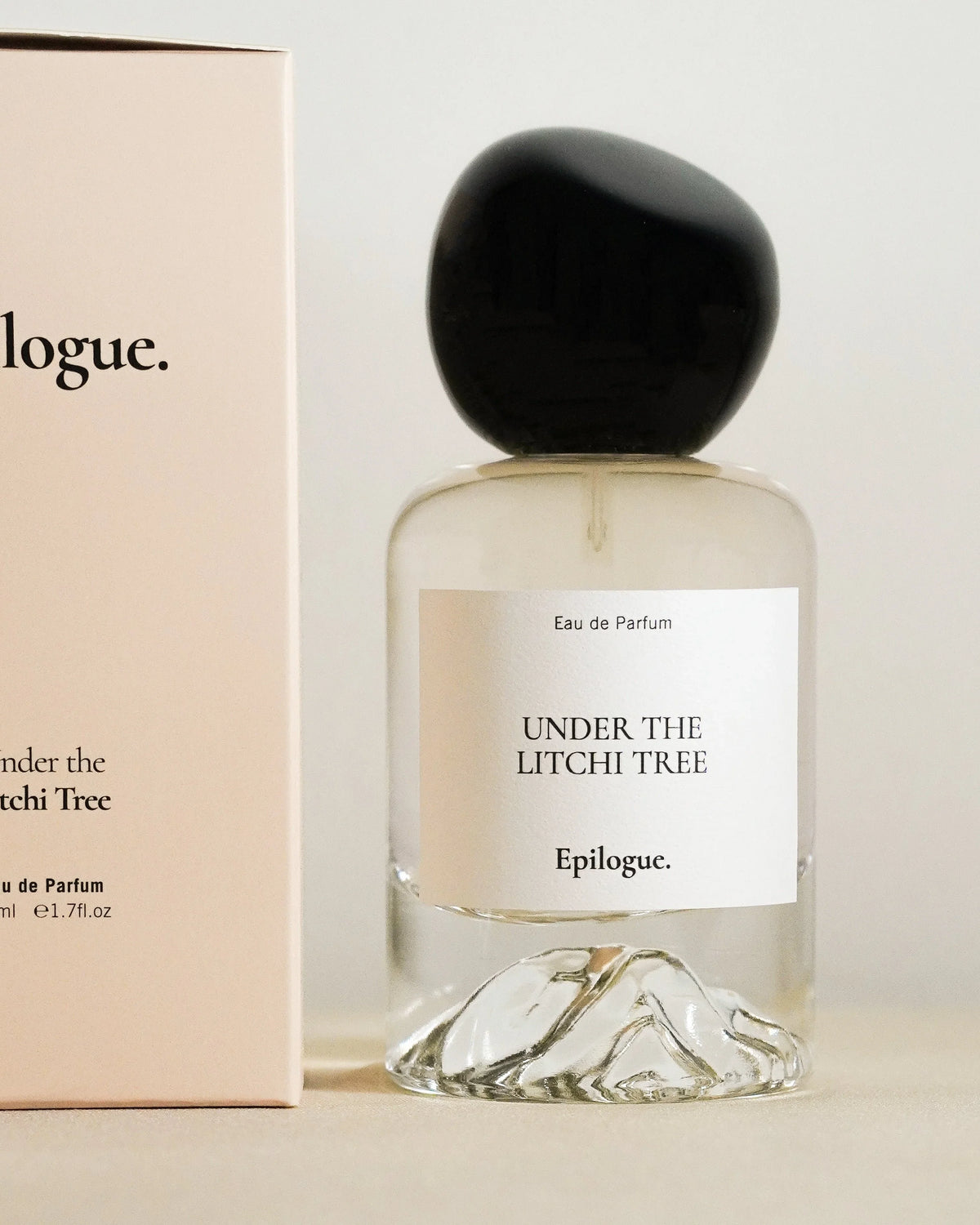 EPILOGUE | Under the Litchi Tree