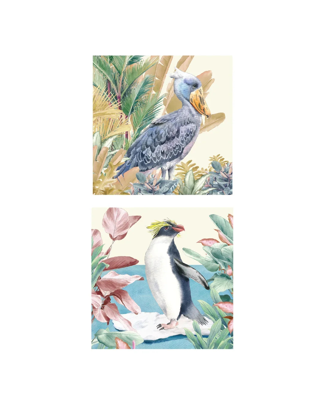 MANDAI WILDLIFE GROUP | MANDAI x SINGLAPA | Living Tapestry Coasters