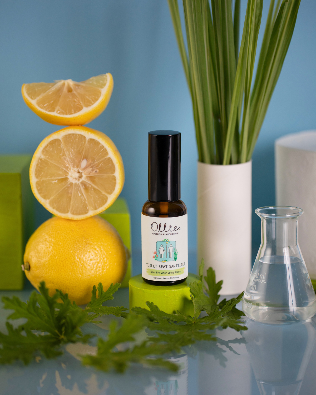 OLLIE | Toilet Seat Sanitizer 30ml