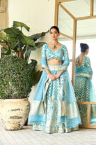 DIVAS CLOSET | Ferozi Lehenga