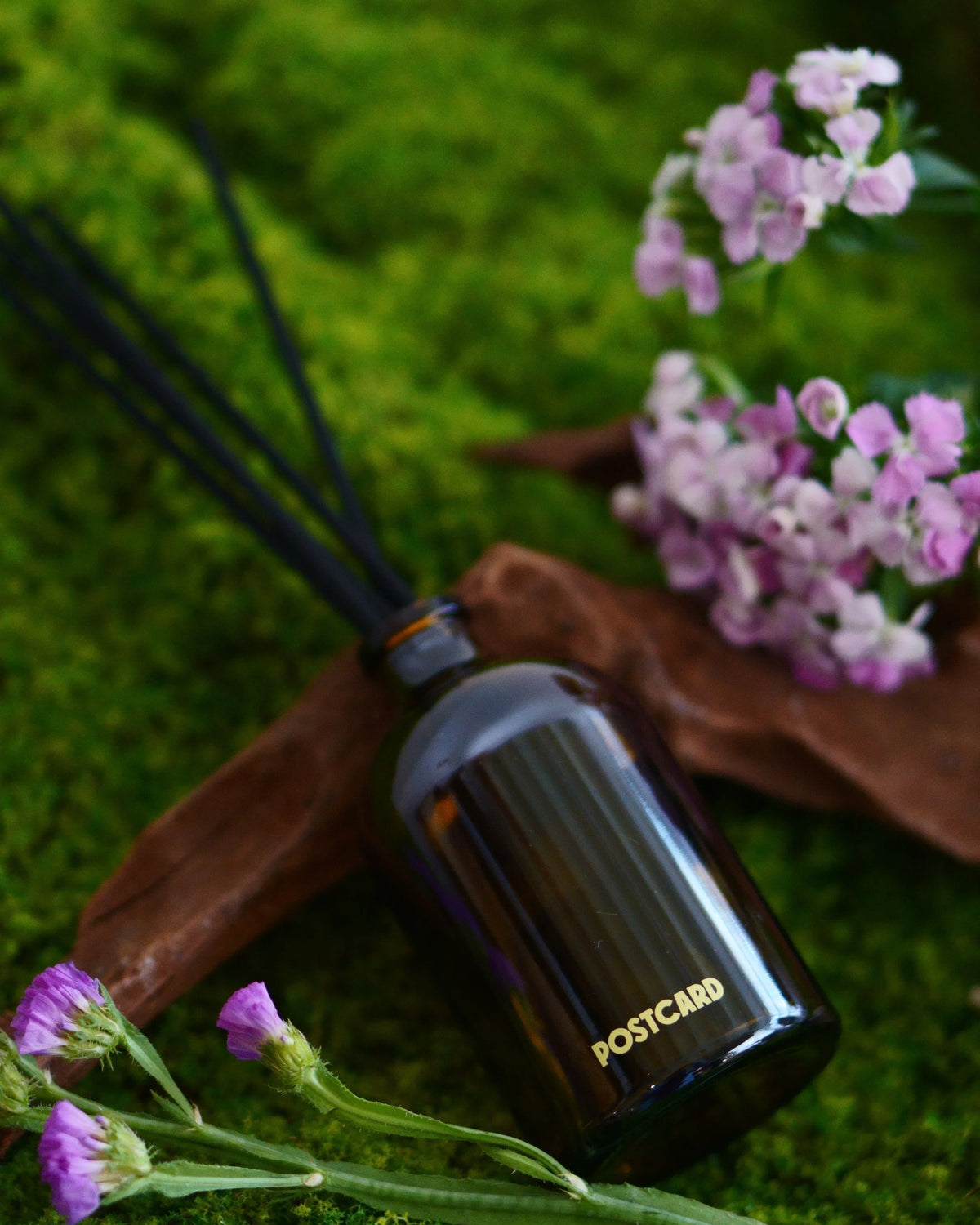 POSTCARD | Wild Flowers Reed Diffuser