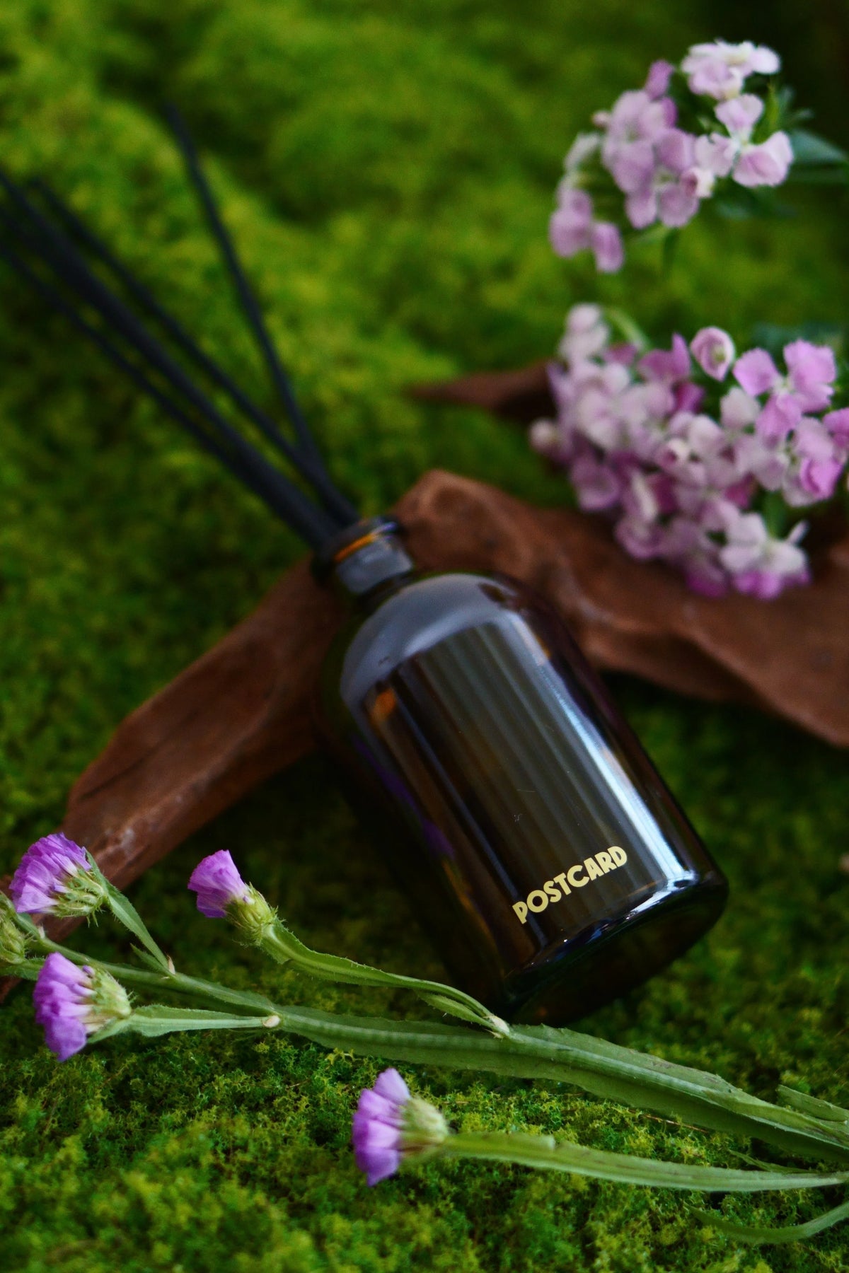 POSTCARD | Wild Flowers Reed Diffuser